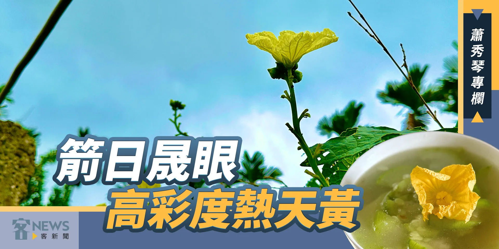 蕭秀琴專欄／箭日晟眼，高彩度熱天黃