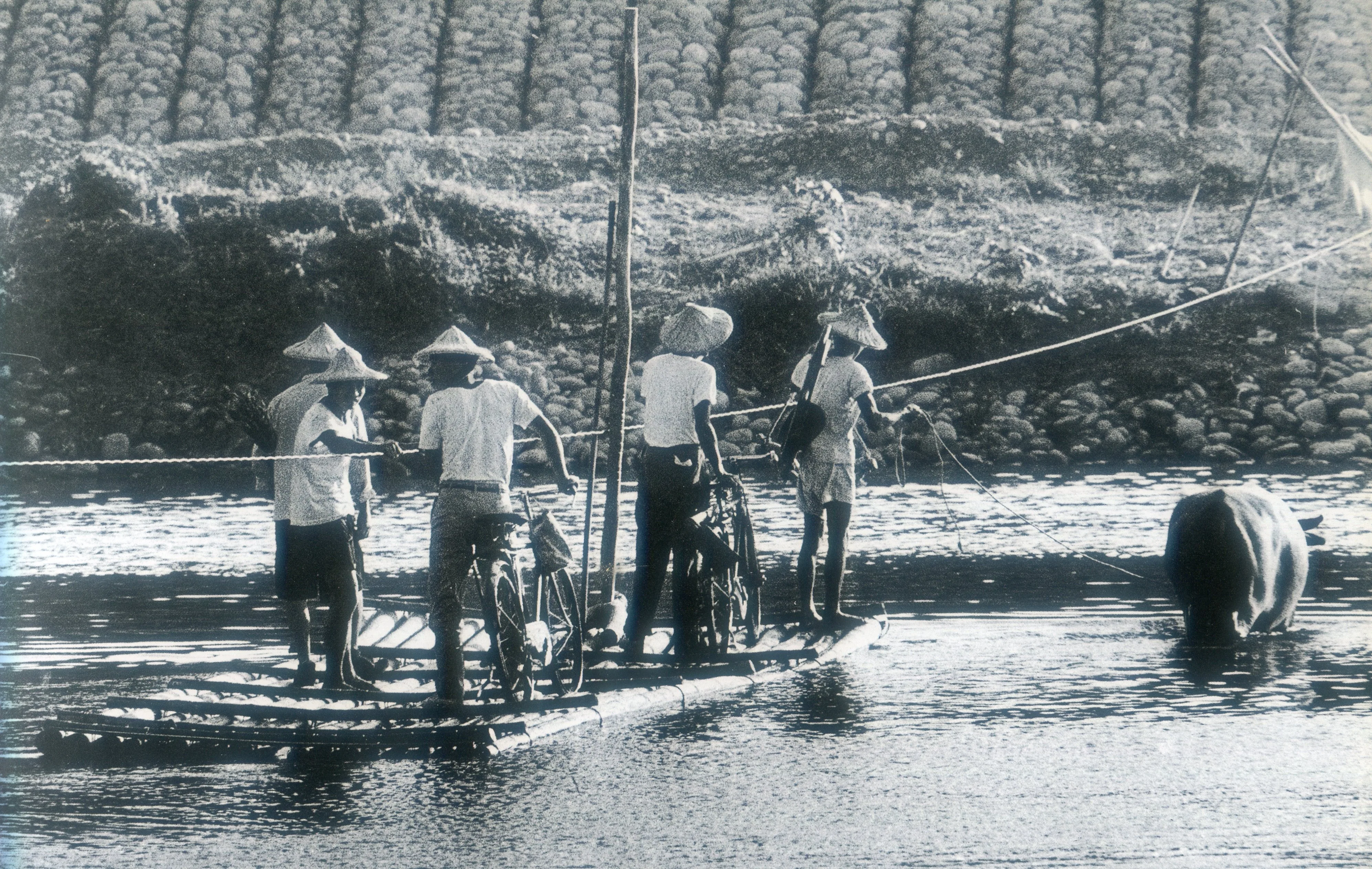 頭屋大橋未興建前,亦設有竹筏方便渡河。邱德雲攝(1960)
