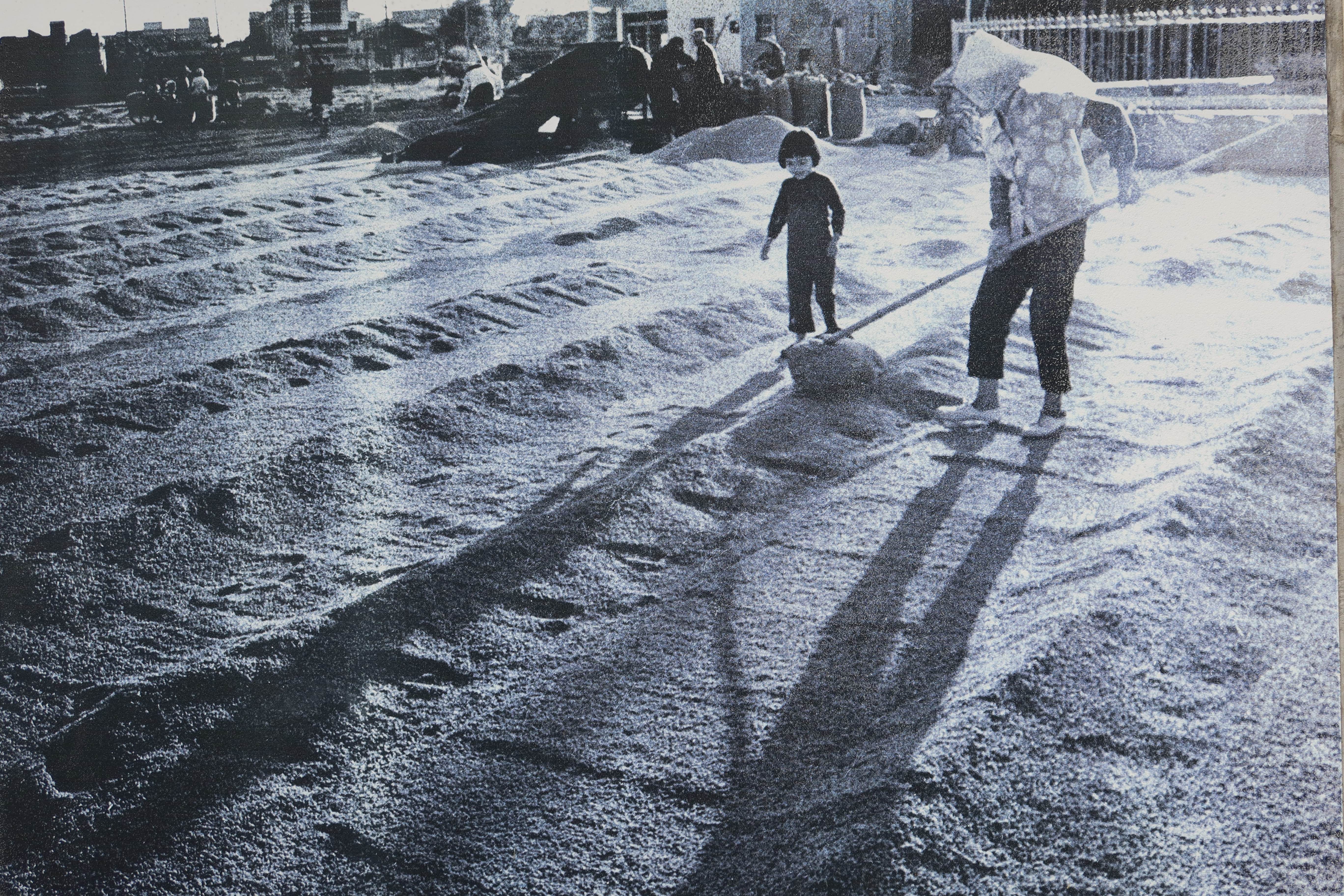 苗栗市玉清宮前廣場晒稻穀。陳雲錦攝(1974)