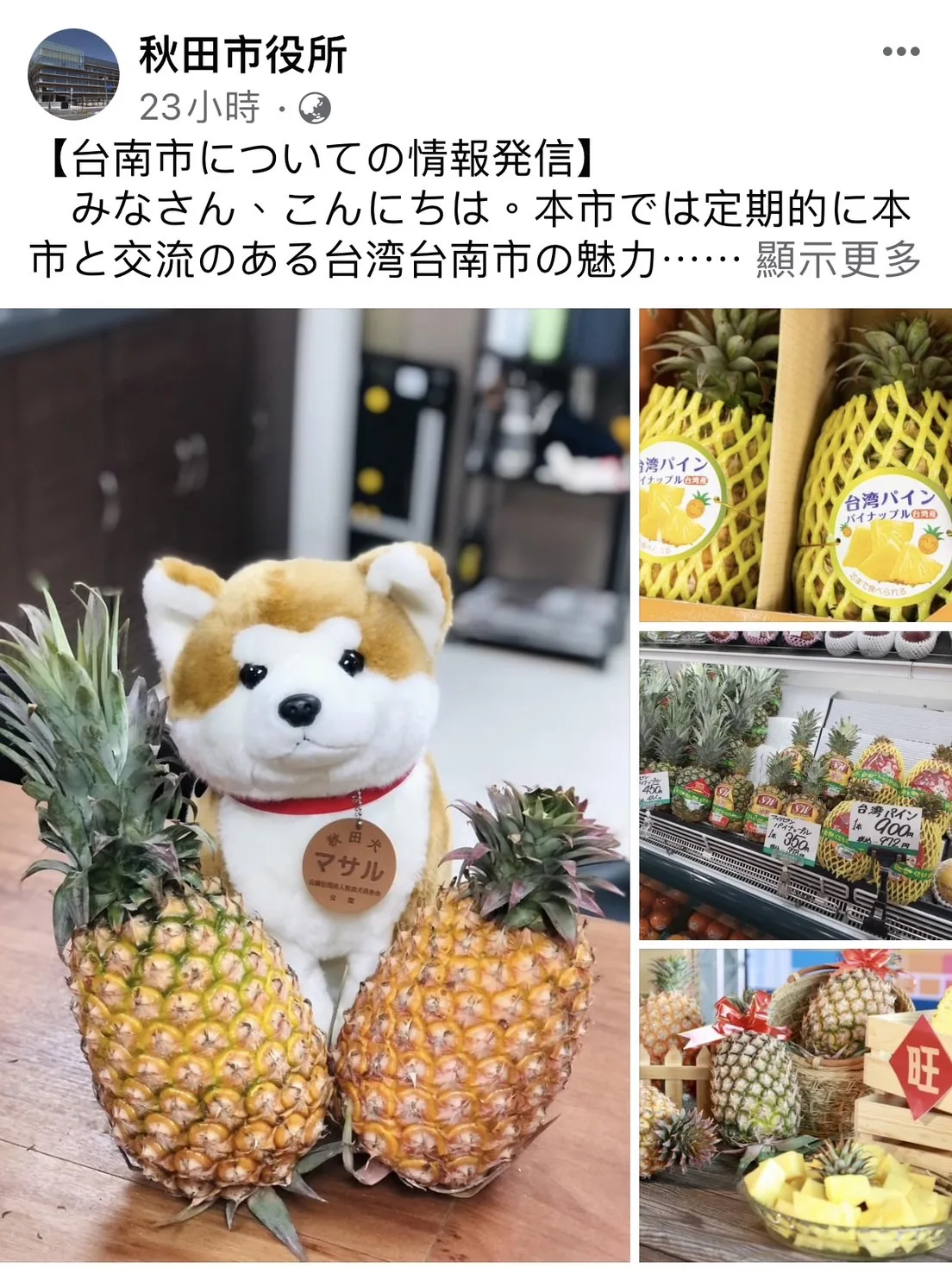 推廣台南鳳梨　日本秋田犬擺拍可愛吸睛