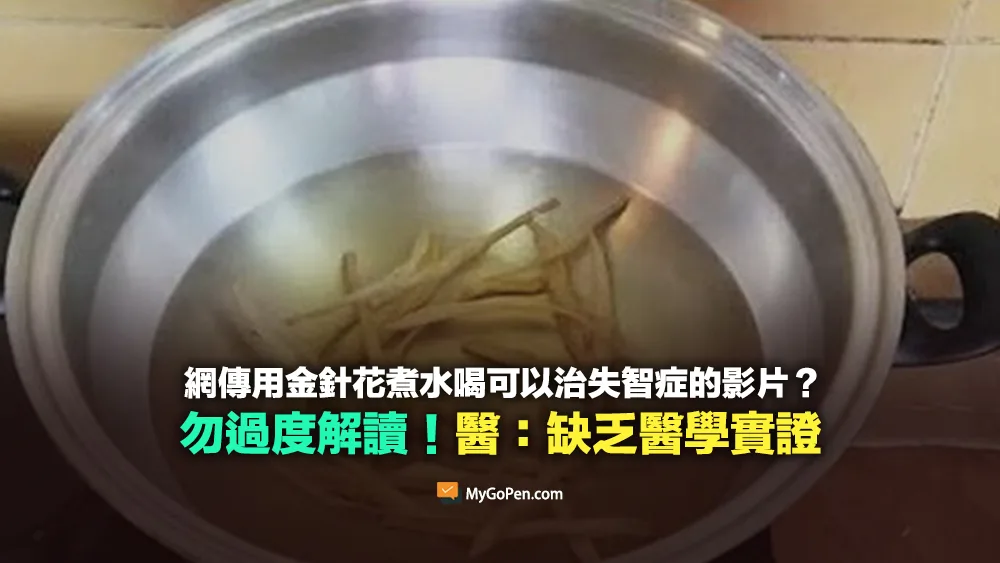 【錯誤】網傳用金針花煮水喝可以治失智症的影片？缺乏醫學實證