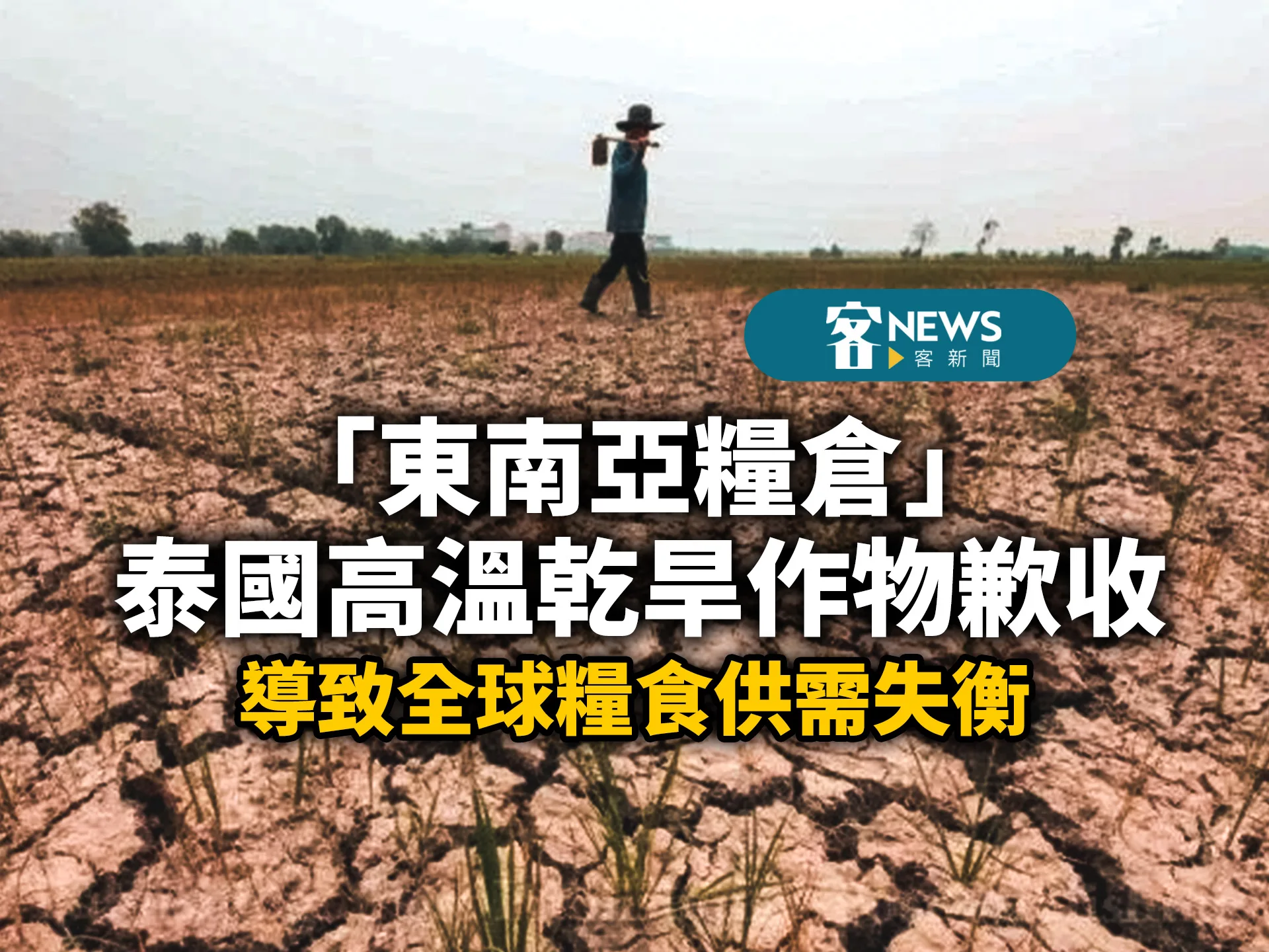 「東南亞糧倉」泰國高溫乾旱作物歉收　導致全球糧食供需失衡