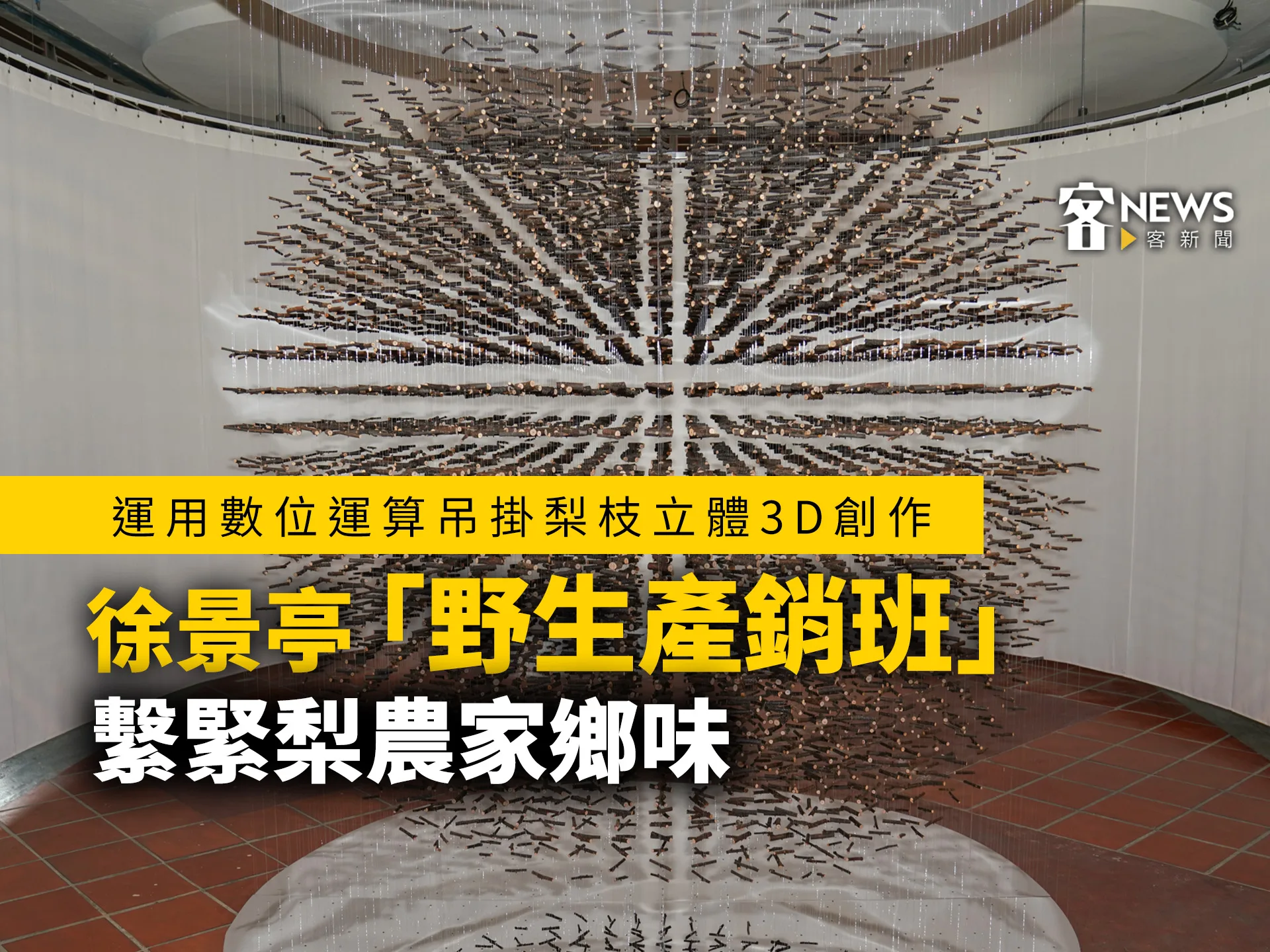 運用數位運算吊掛梨枝立體3D創作　徐景亭「野生產銷班」繫緊梨農家鄉味