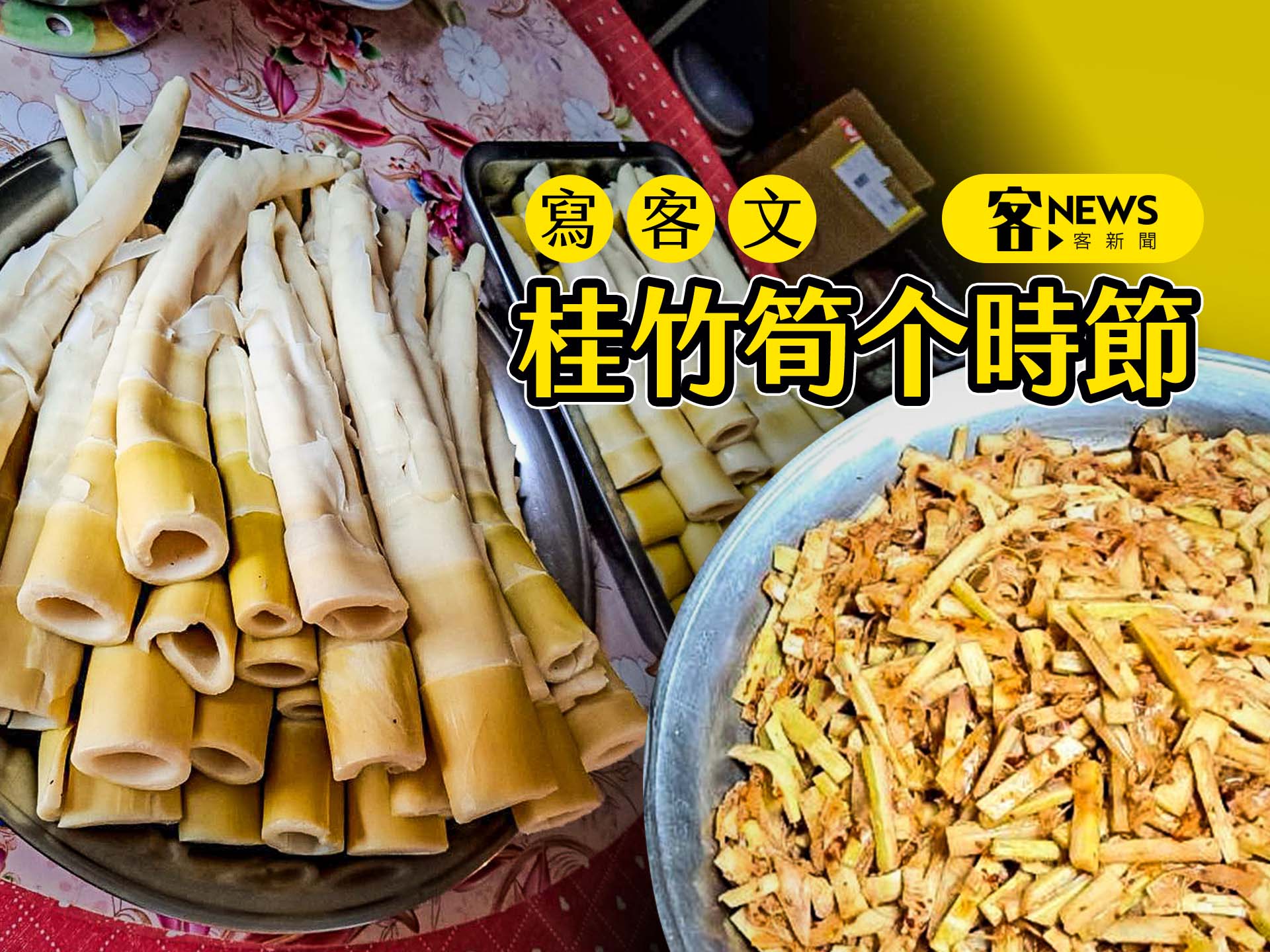 【寫客文】桂竹筍个時節