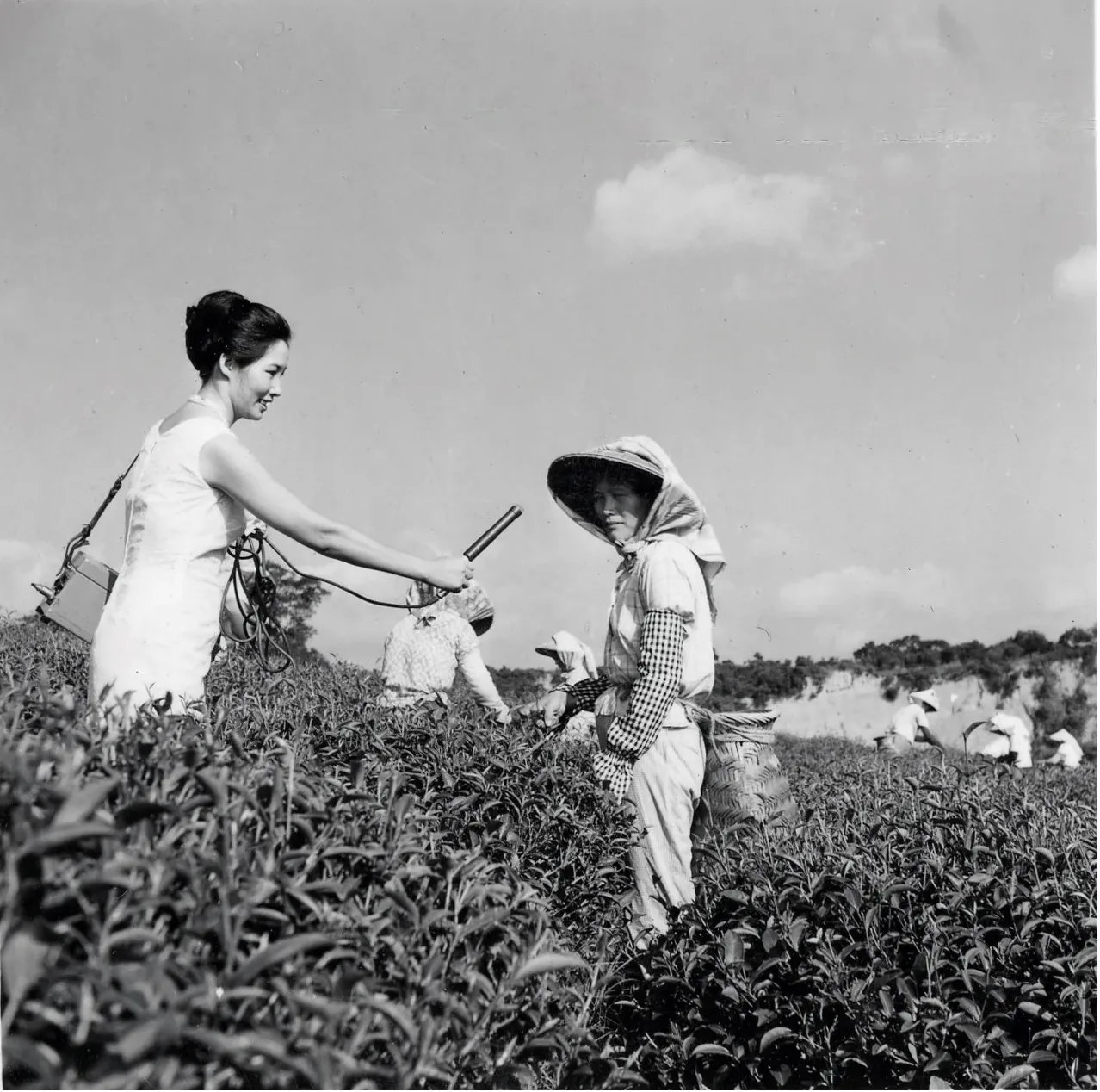 曾雲珍可能是台灣史上最早的客語女播音員，圖為1960年代她下鄉採訪採茶婦女的倩影。江光大、彭文銘提供
