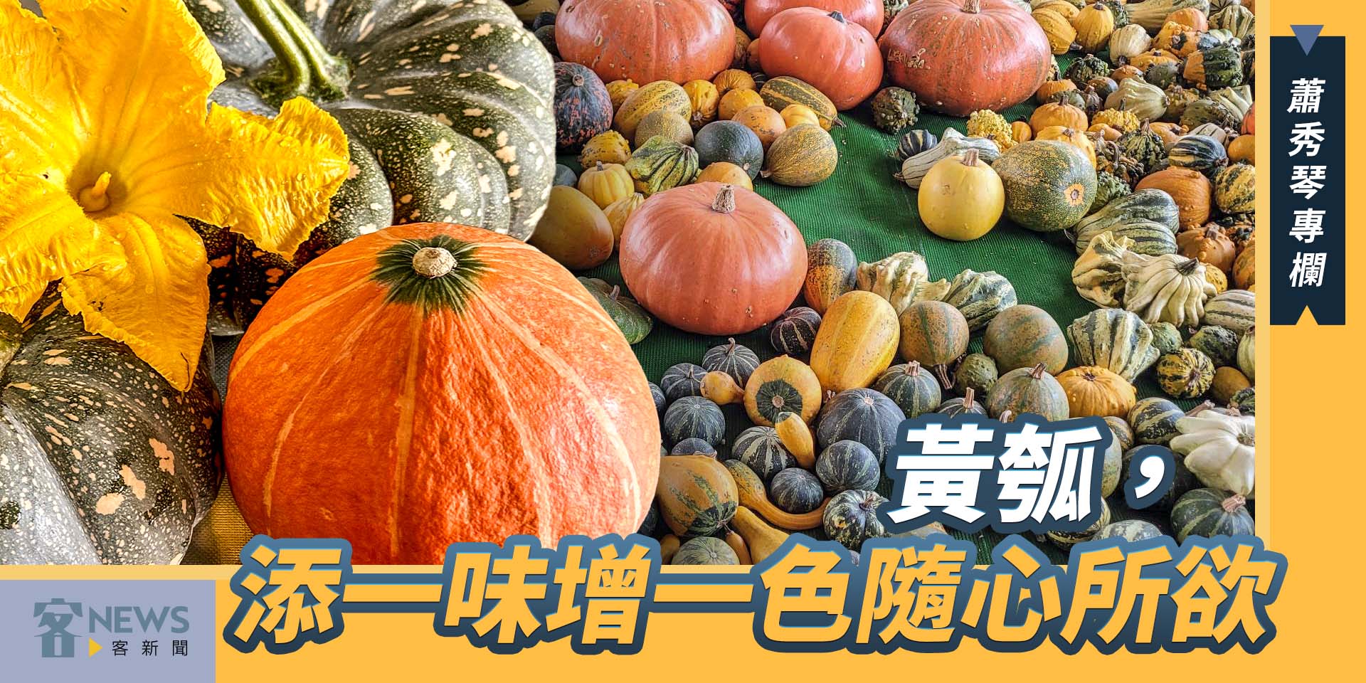 蕭秀琴專欄／黃瓠，添一味增一色隨心所欲