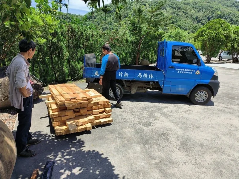 林務局新竹林區管理處5月初發現尖石山區1株樹齡60餘年的台灣櫸木遭鋸倒竊取，僅留下樹頭和殘枝，保七總隊第五大隊員警循線查出櫸木被銷贓至百餘公里外的宜蘭縣，前往起出總重680公斤櫸木板材。（警方提供）