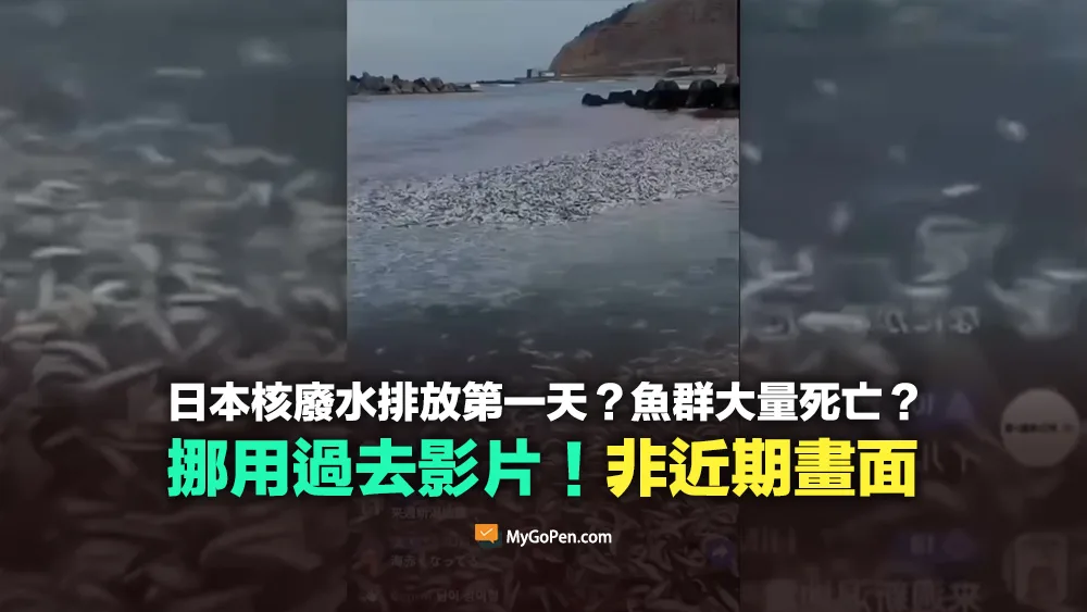 【錯誤】日本核廢水排後魚群大量死亡的畫面？挪用過去影片誤導！非近期狀況