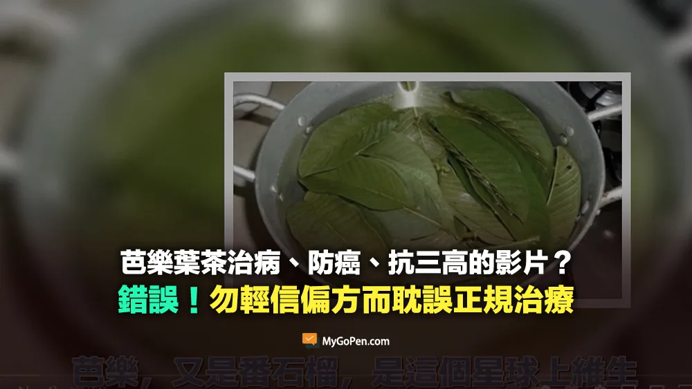 【錯誤】芭樂葉茶治病、防癌、抗三高的影片？勿輕信偏方而耽誤正規治療