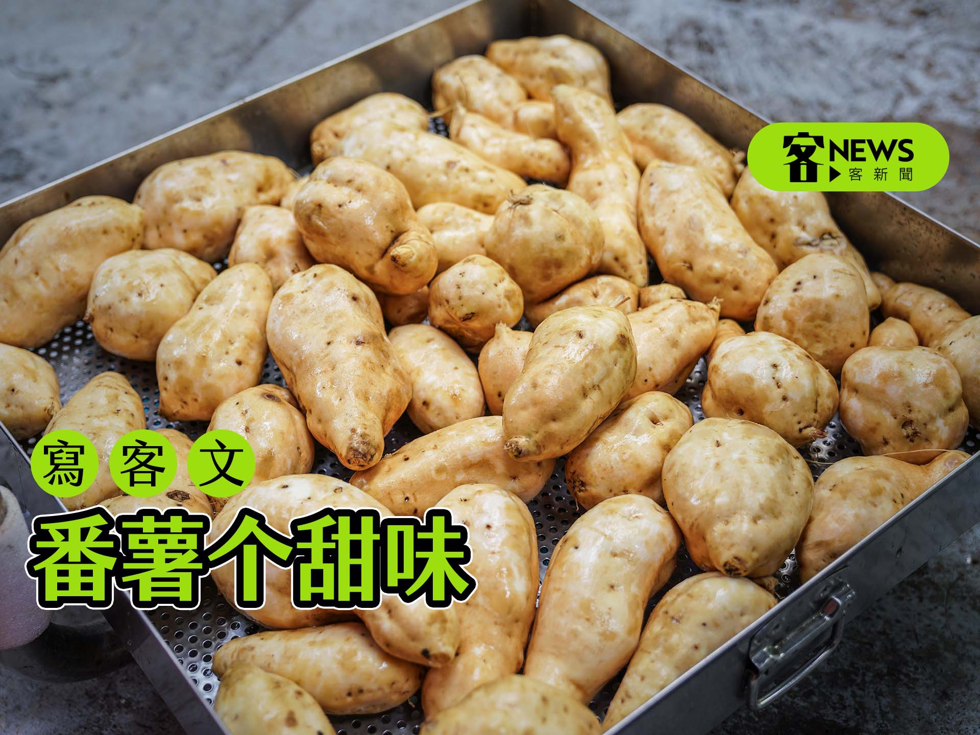 【寫客文】番薯个甜味