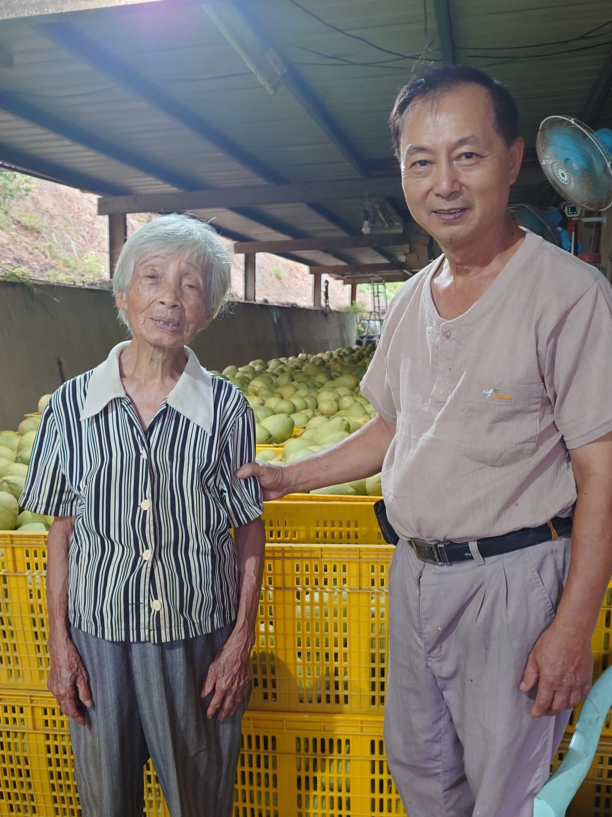 張四妹的長子張海欽是臺北市信義區松友里里長,文旦採收時回鄉幫忙,與老母合影。何來美攝