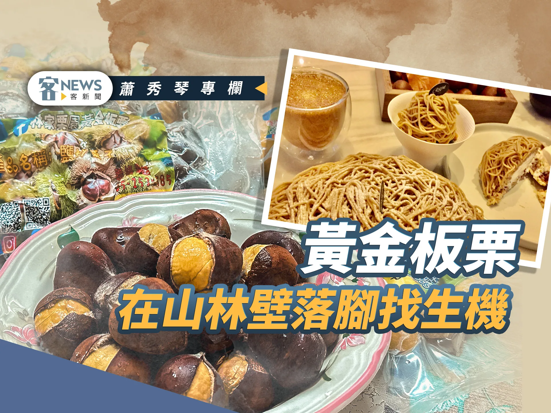 蕭秀琴專欄／黃金板栗，在山林壁落腳找生機