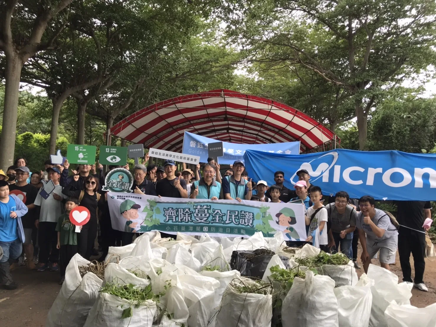 150人合力移除外來種小花蔓澤蘭，在短短10分鐘內齊力拔除331公斤，而也將在東勢再製成醋液，再利用也成為減碳一項很重要的環保行動。林業及自然保育署臺中分署提供