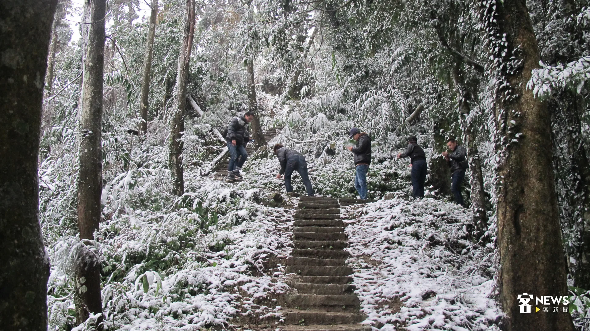 2016年初獅潭仙山降下瑞雪,吸引人潮上山玩雪。何來美攝