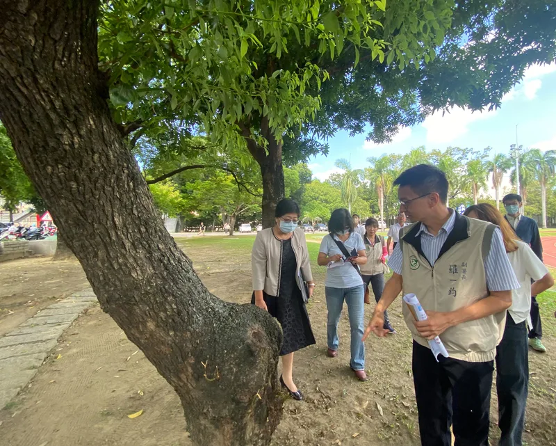 臺南登革熱病下降15%　羅一鈞：疫情確定本週反轉