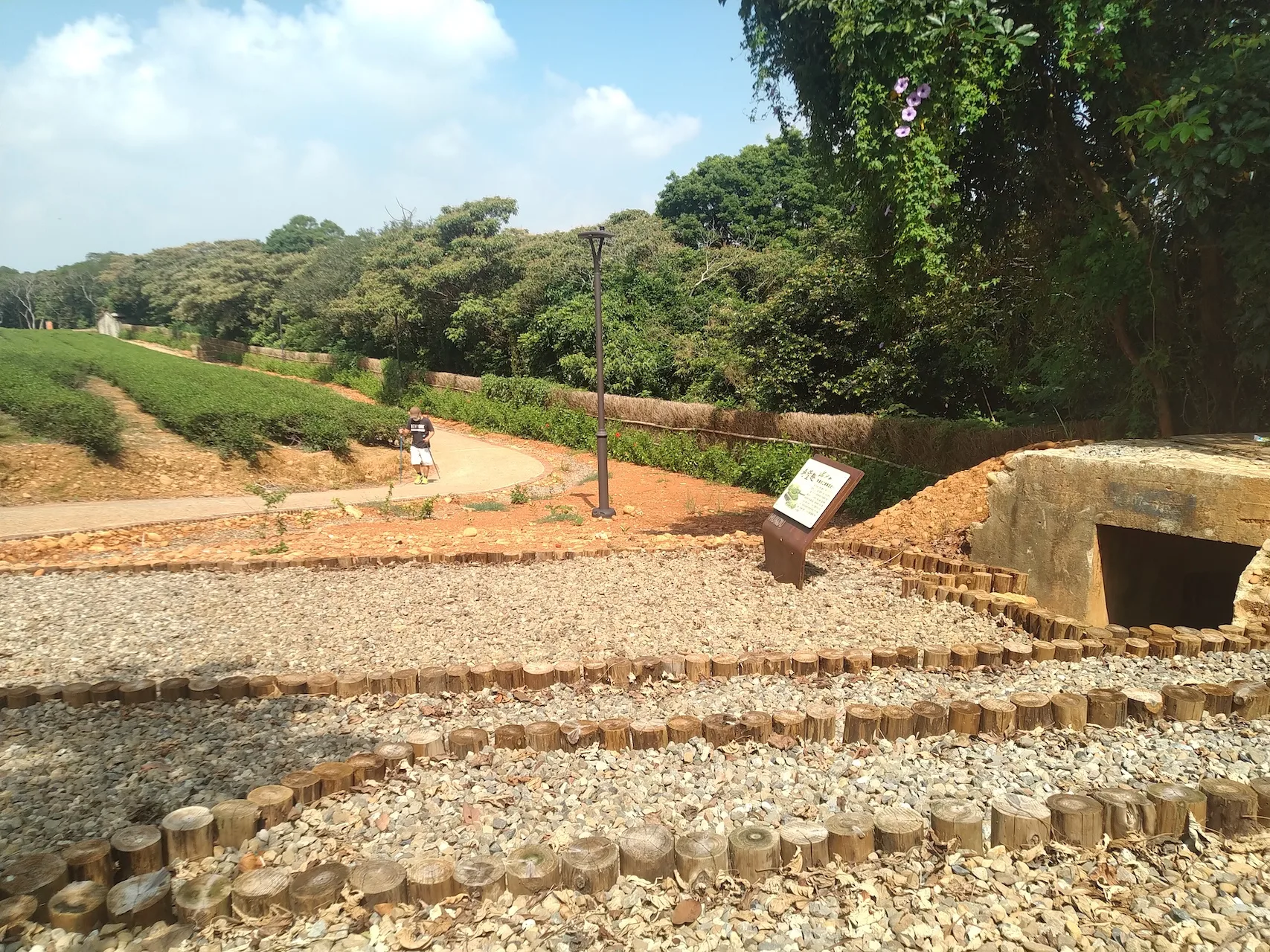 湖口後山昔日為裝甲兵部隊戶外訓練基地,留下早期多座軍事碉堡,現讓民眾在茶香步道體驗「尋堡」樂趣。王湘仁攝