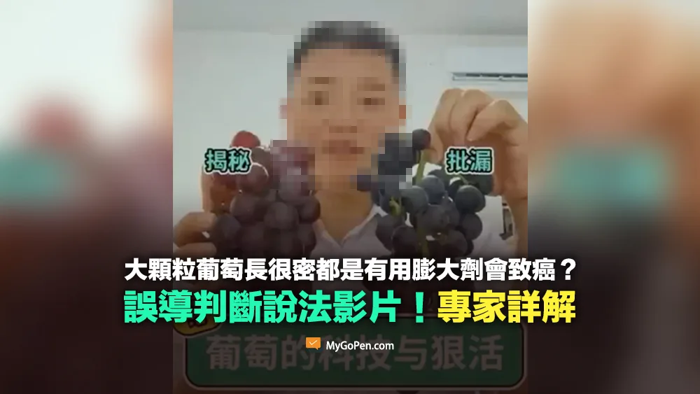 【錯誤】葡萄長很密都是有用膨大劑？誤導判斷說法影片！專家詳解