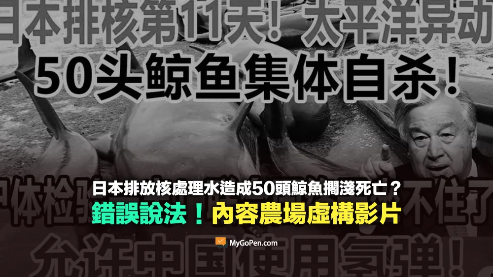 【錯誤】網傳日本排放核廢水造成50頭鯨魚集體自殺？內容農場虛構說法