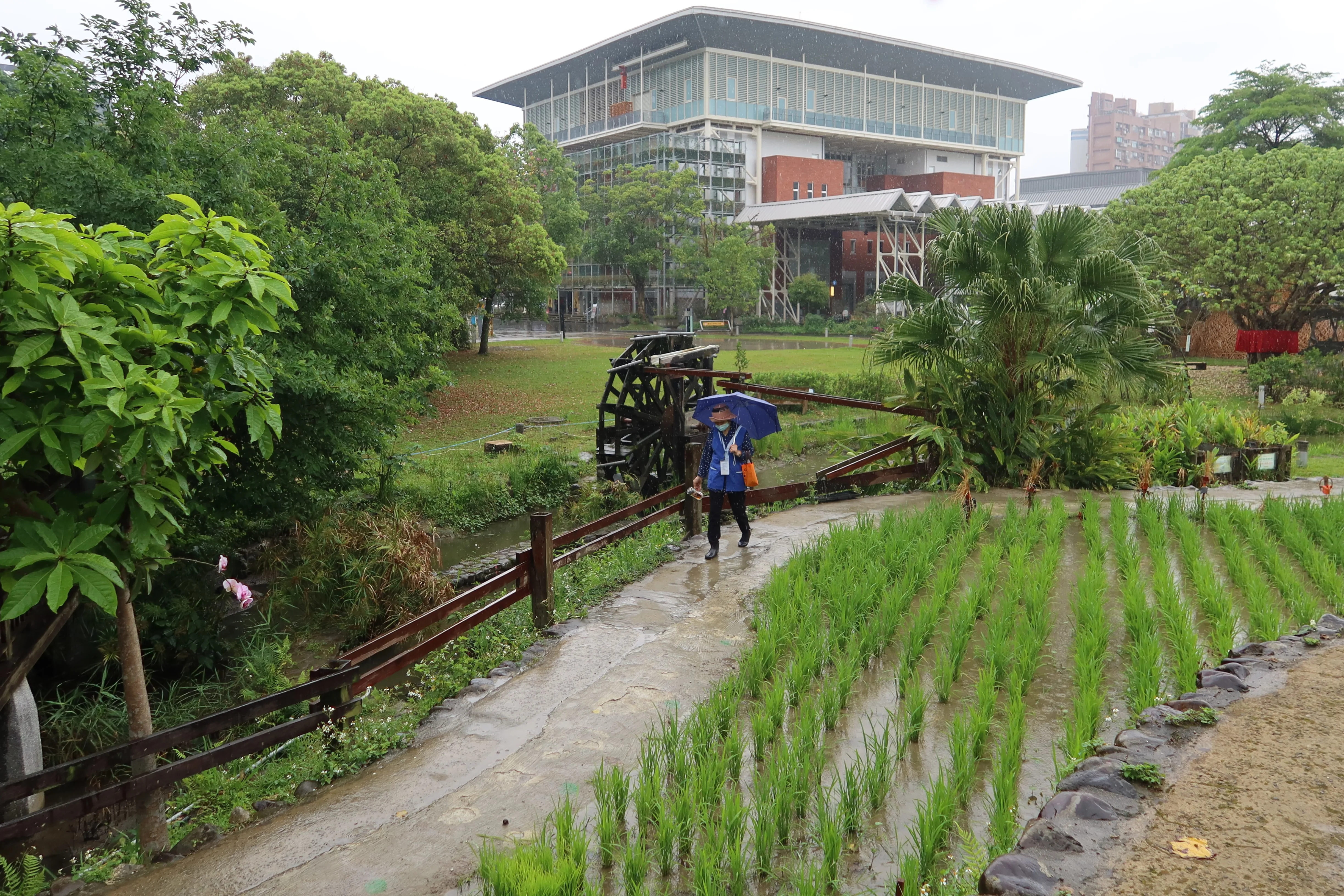 台北市客家文化主公園佔地4公頃多，文化、生態內容豐富。何來美攝