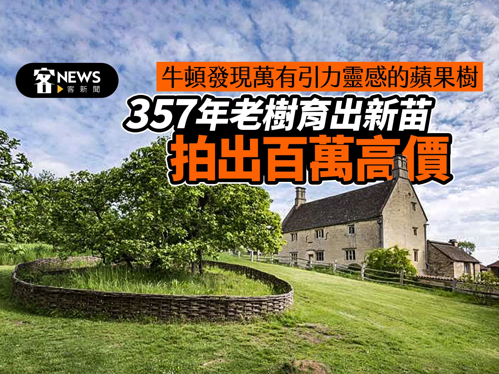 牛頓發現萬有引力靈感的蘋果樹　 357年老樹育出新苗拍出百萬高價