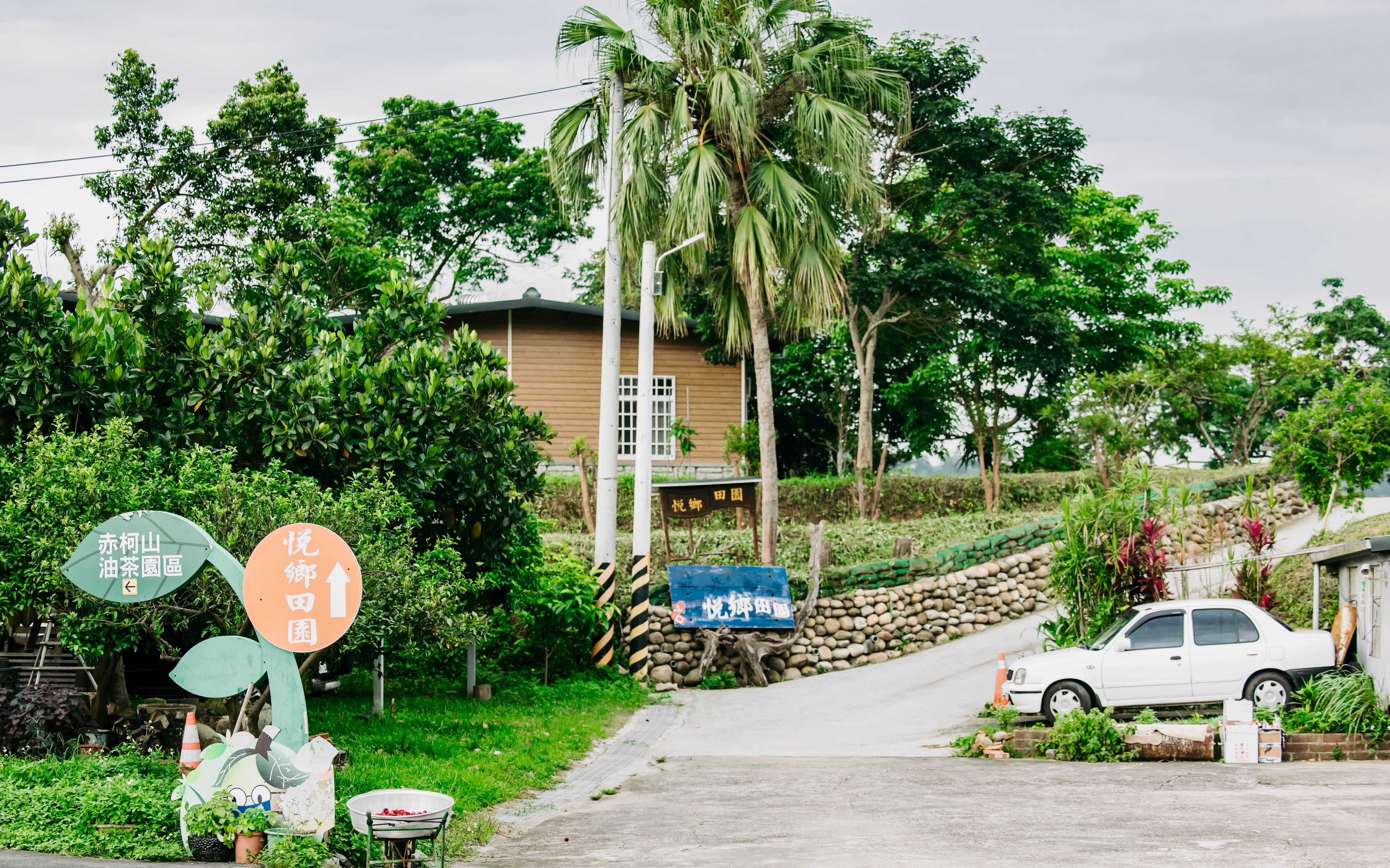 斜坡往上即可見悅鄉田園及茶油工坊旁的草地。鴻梅文創志業股份有限公司提供