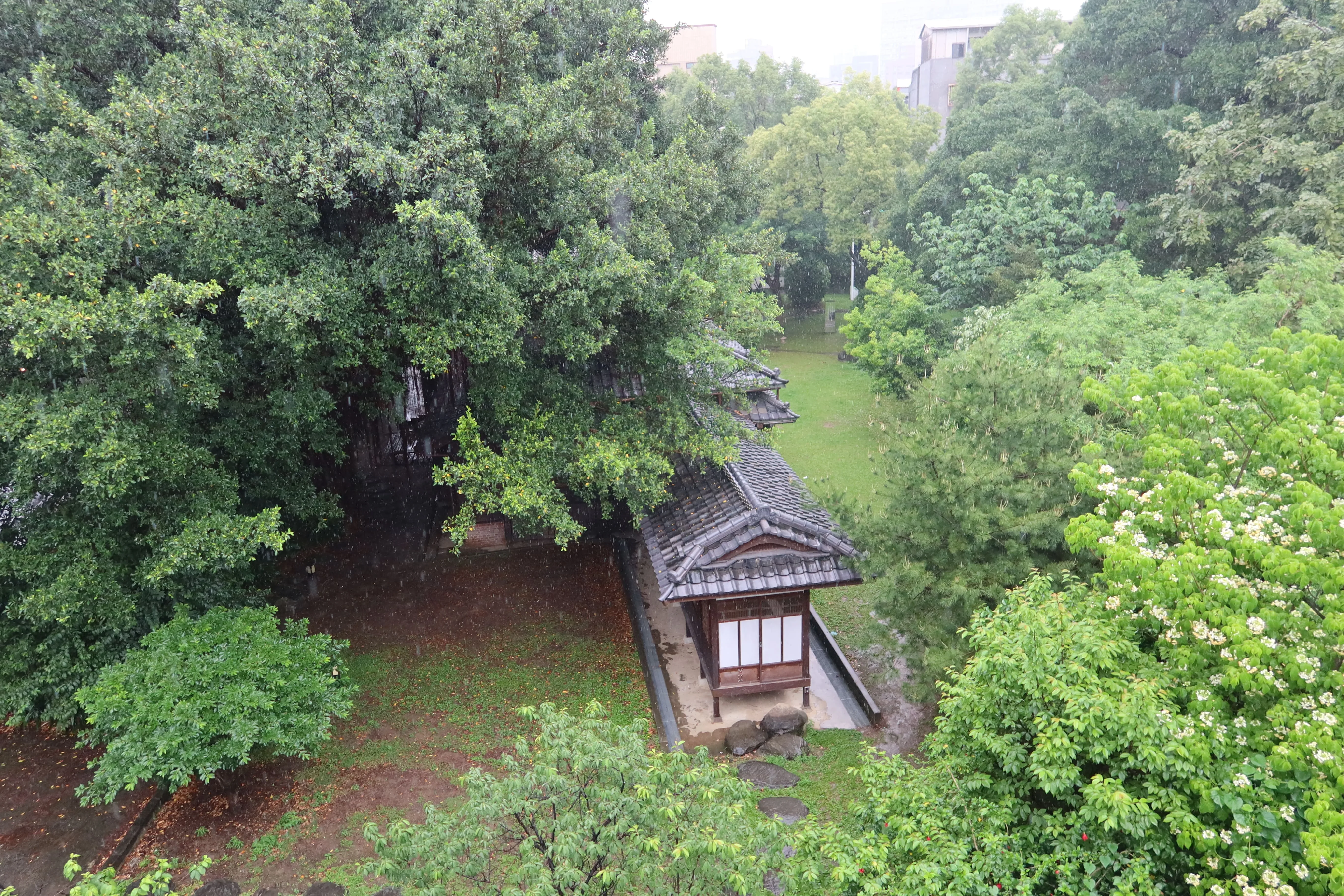 台北市紀州庵文學森林花園，與客家文化主題公園相鄰，常有作家在此舉辦新書發表。何來美攝