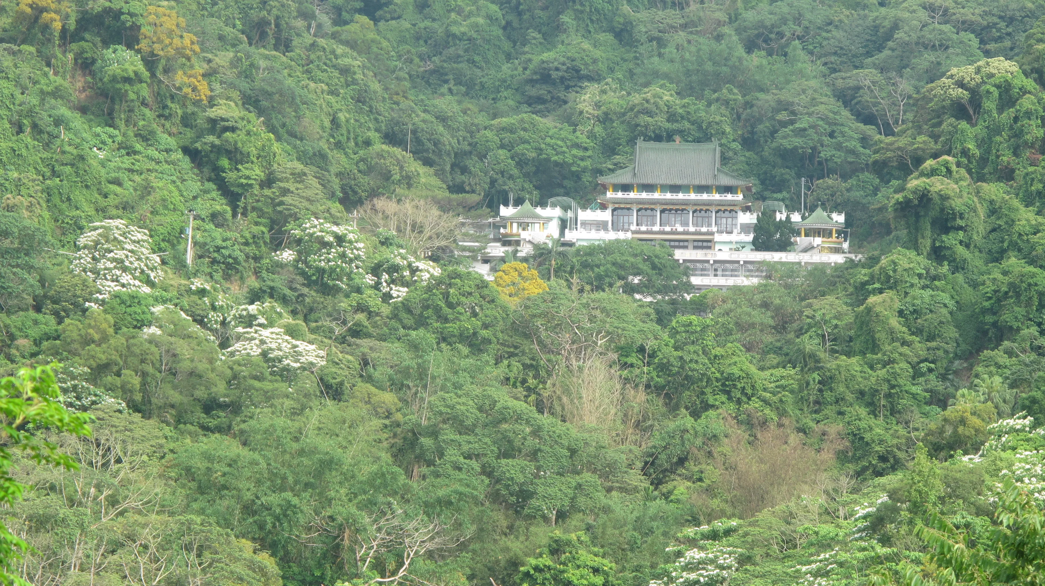 普光寺是客委會「樟之細路」頭屋水寨下古道的中繼站，山友可停歇禮佛，亦可欣賞詩牆作品。何來美攝