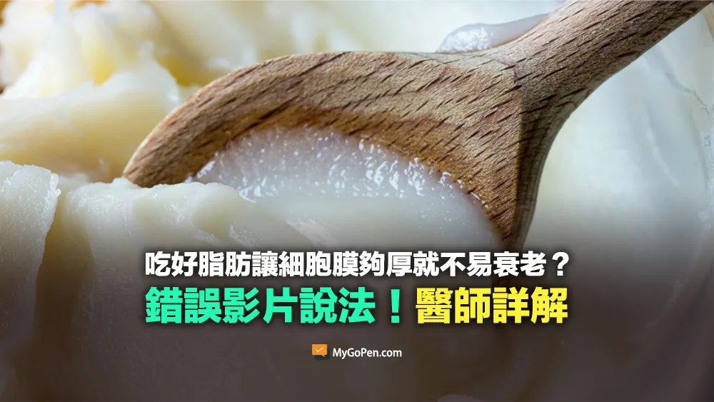 【錯誤】吃好脂肪讓細胞膜夠厚就不易衰老？誤解說法！醫師詳解