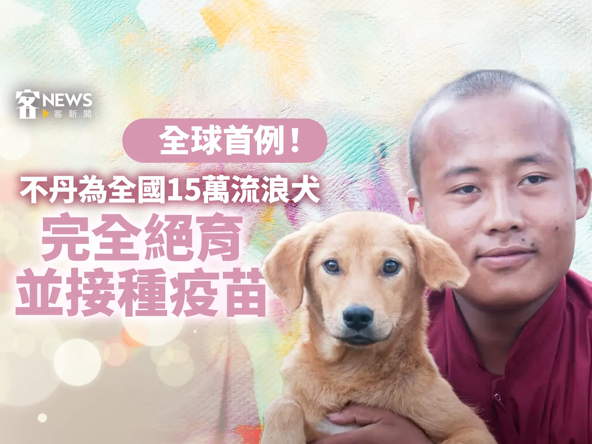 全球首例！不丹為全國逾15萬流浪犬完全絕育並接種疫苗