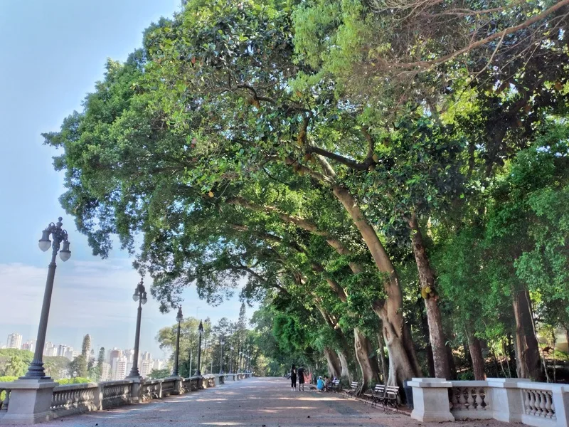 巴西熱島飆破40度　專家：打造城市森林可降溫