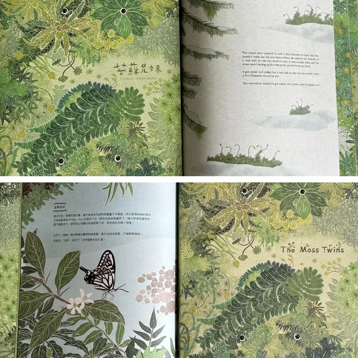 《苔蘚兄妹》中英文繪本。蕭秀琴提供