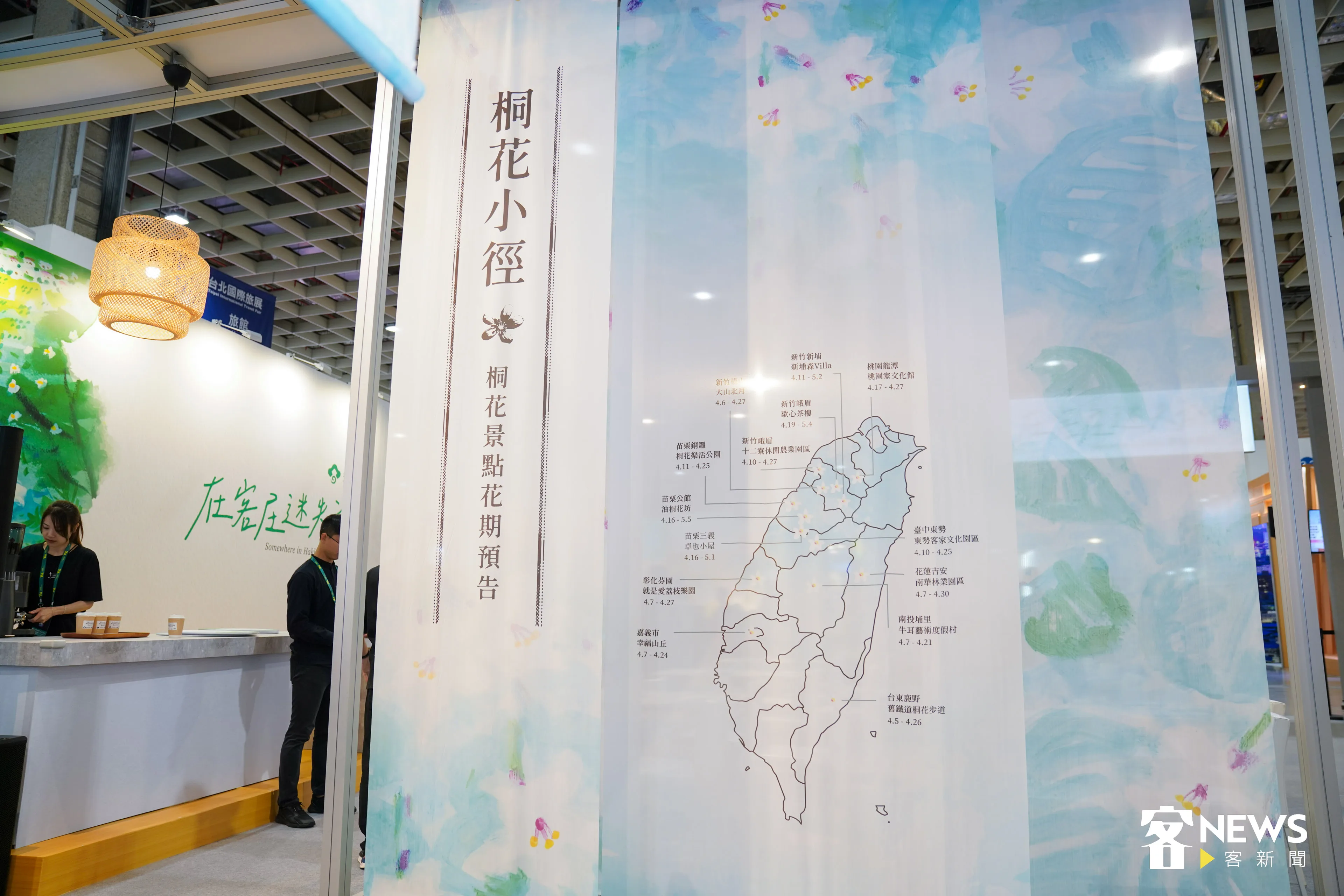 客家委員會推出桐花小徑,將台灣各地桐花開的時間以地圖方式列出。范修語攝