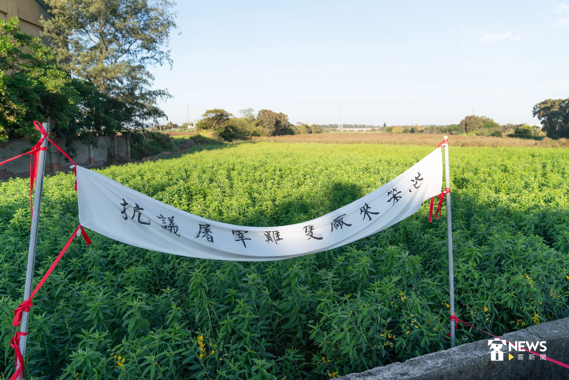 新屋笨港里電宰廠預定地，已有被掛上布條以示抗議。洪俊傑攝