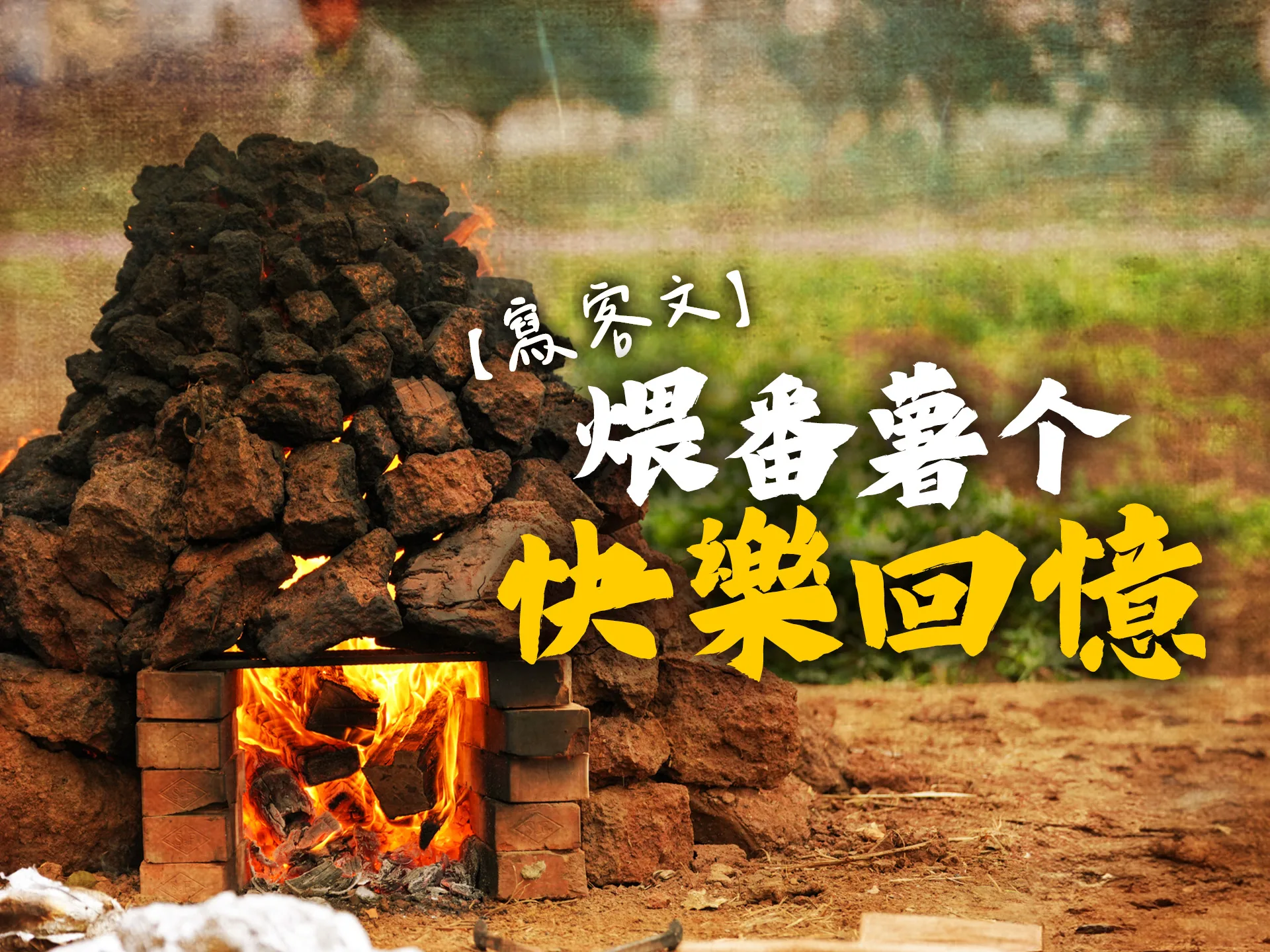 【寫客文】煨番薯个快樂回憶