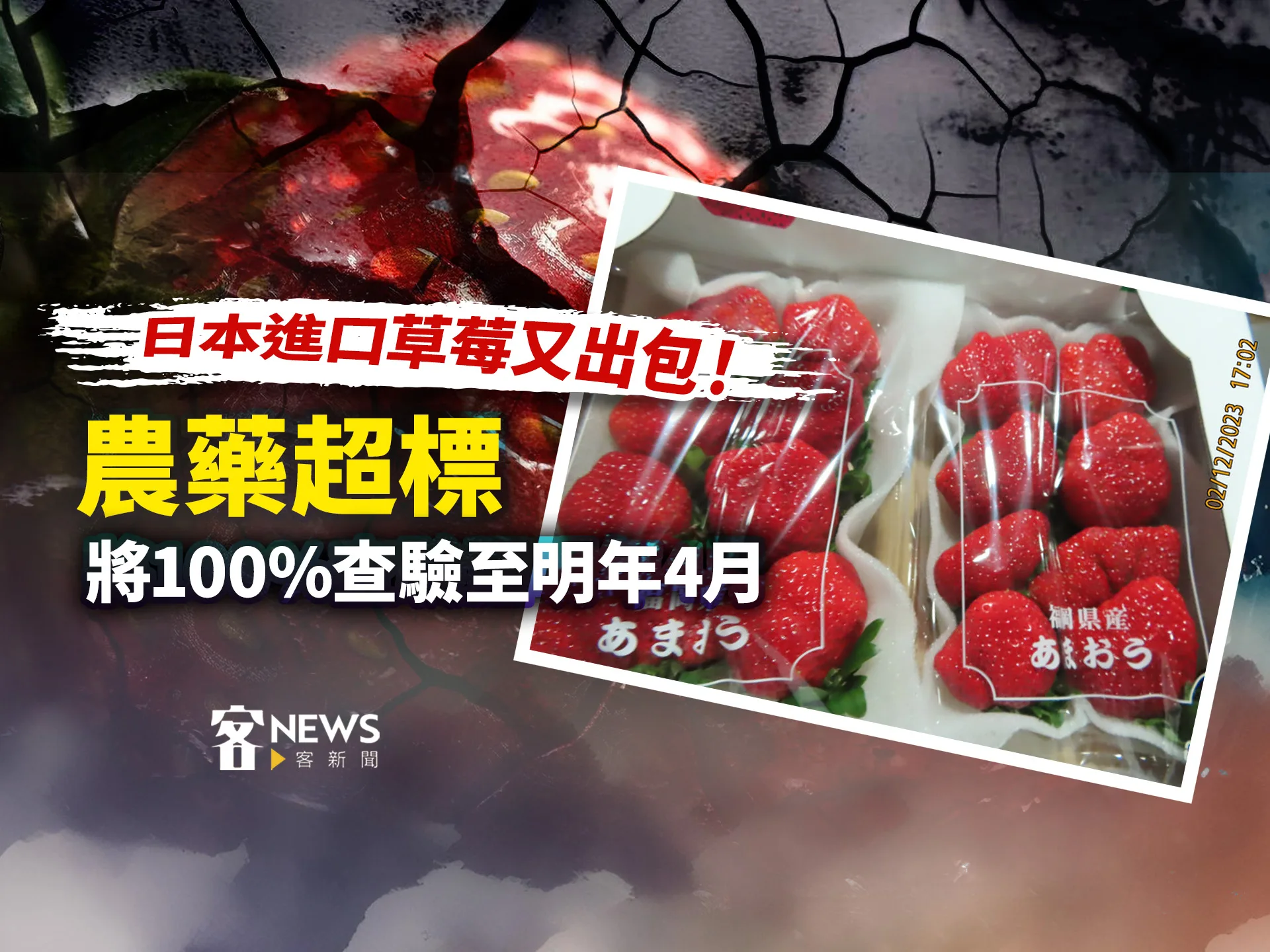 日本進口草莓又出包！　農藥超標將全面查驗至明年4月