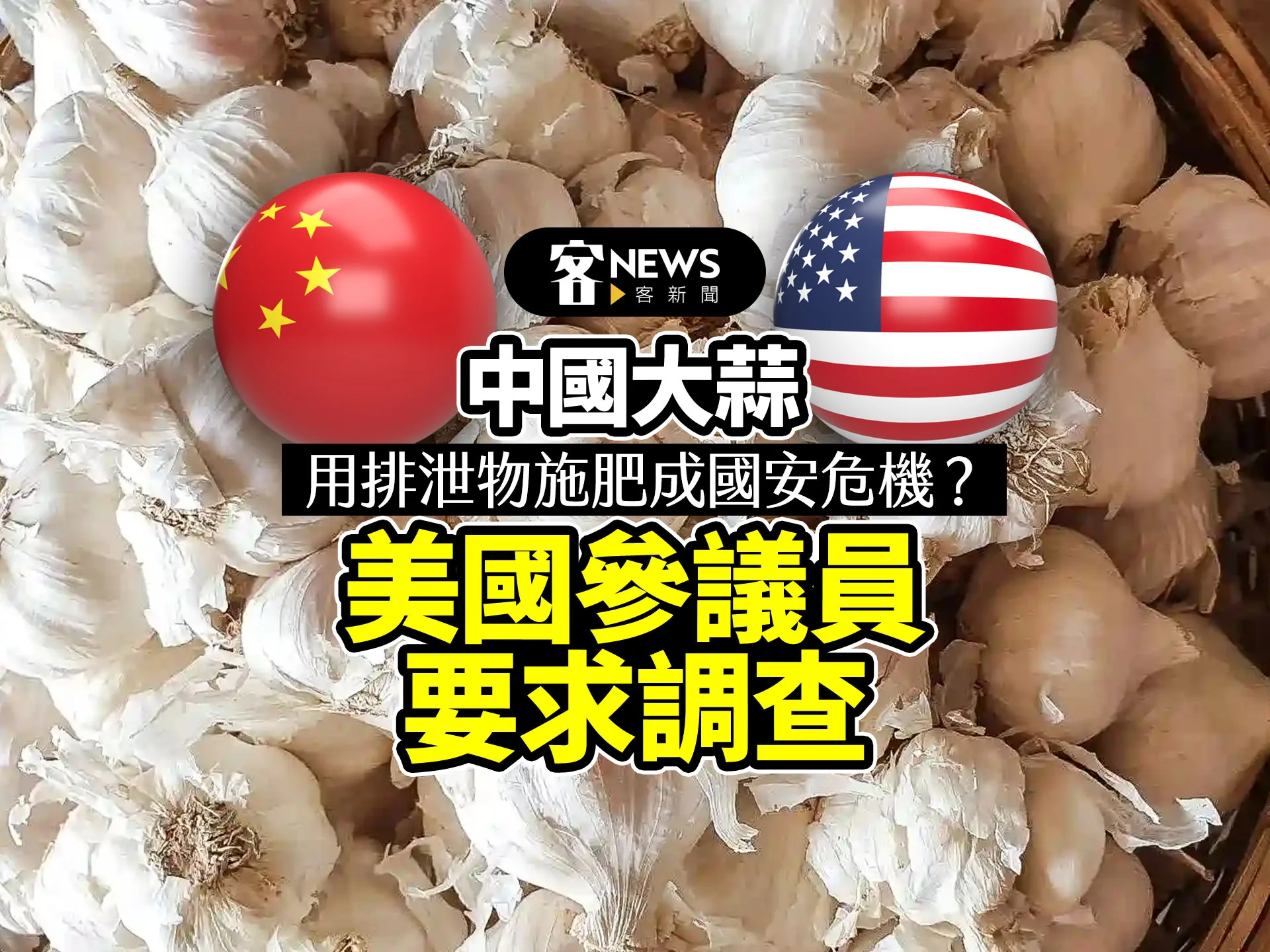 中國大蒜用排泄物施肥成國安危機？　美國參議員要求調查