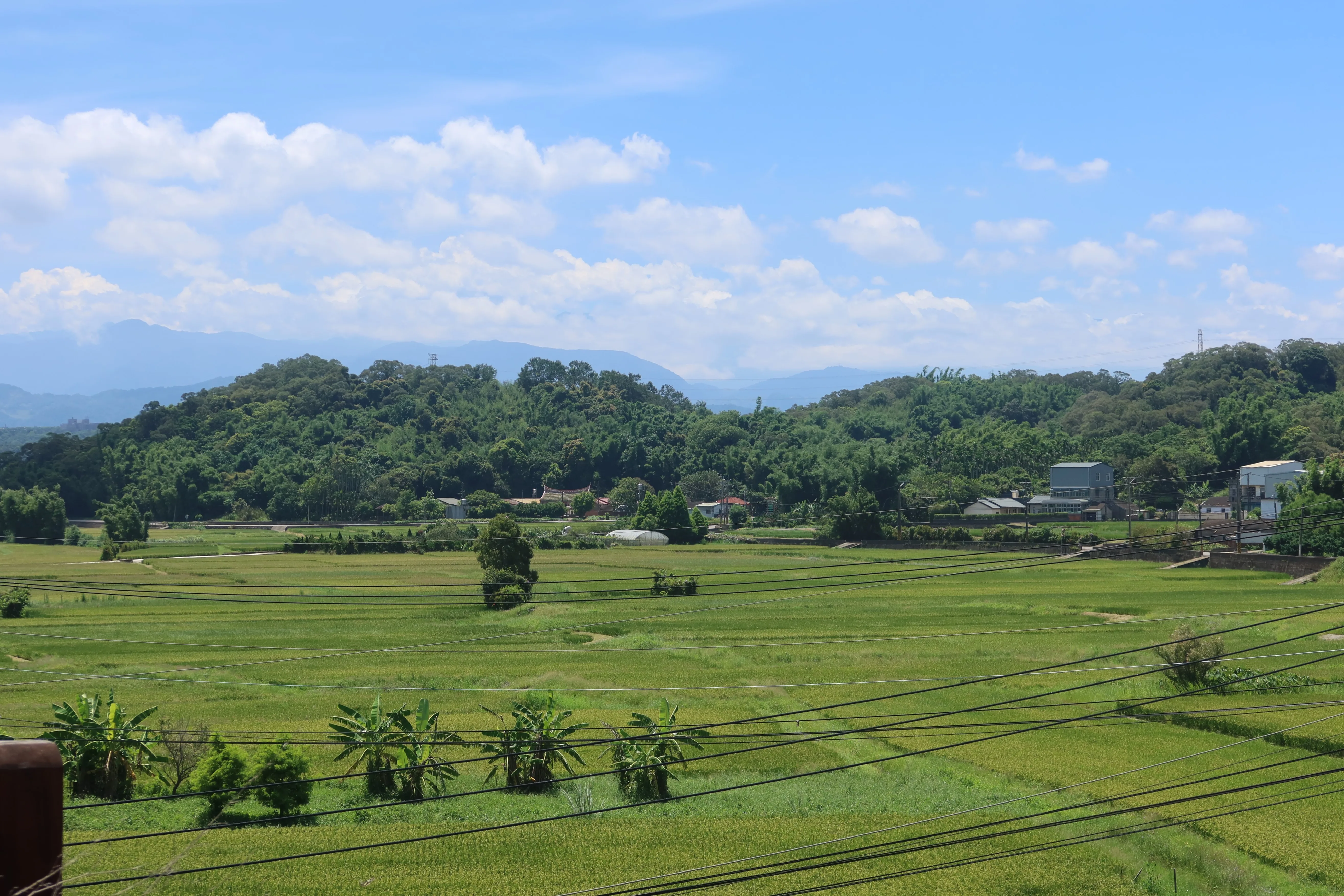 從宣王宮往東遠眺劉恩寬祖堂,一片平疇綠野。何來美攝
