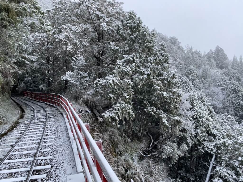 太平山國家森林遊樂區蹦蹦車道披上銀霜。圖取自農業部林業及自然保育署宜蘭分署網站