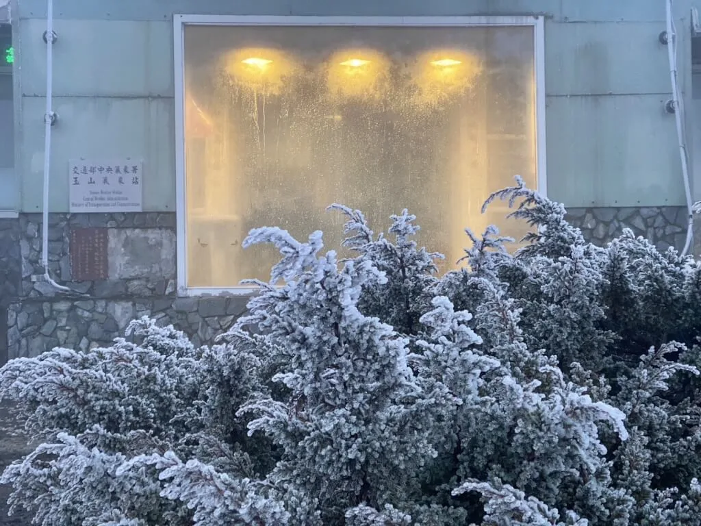 玉山氣象站的樹木上都結了霧淞，白靄靄的景色相當夢幻。氣象署提供