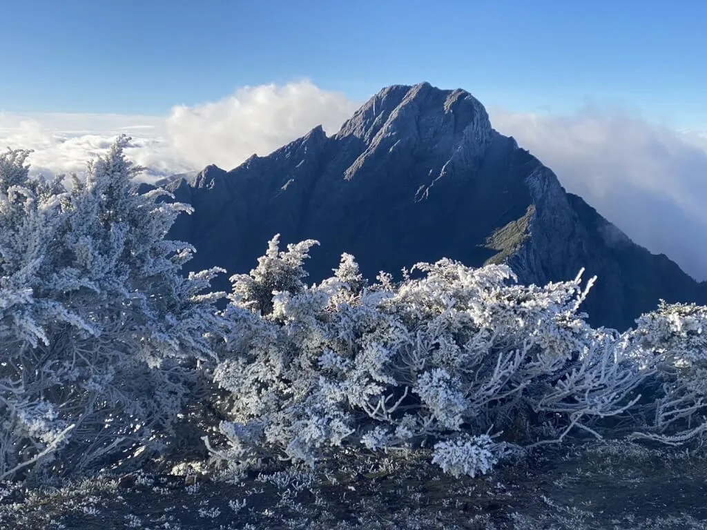 冬至迎瑞雪　宜蘭太平山浪漫雪景一次看