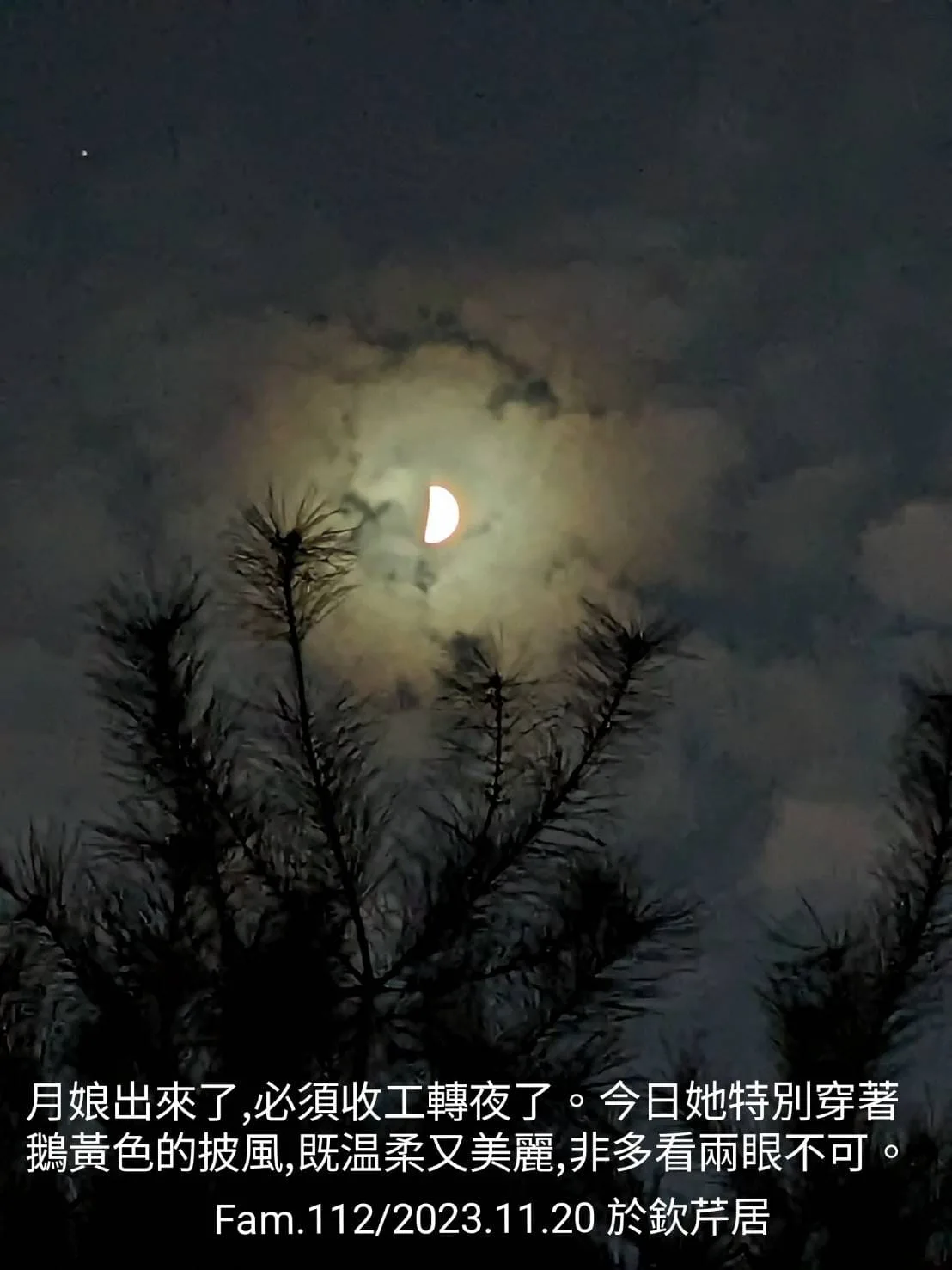 「惟江上的清風,與山間的明月,耳得之而為聲,目遇之而成色,取之不禁,用之不竭。」范振乾賞山中明月,頗有蘇東坡的雅興。范振乾提供