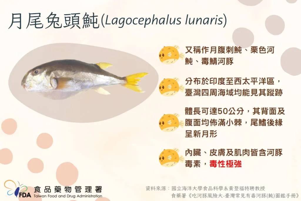 河豚身體具有極強的神經毒素，毒性約為氰化鈉1000倍以上。食藥署提供