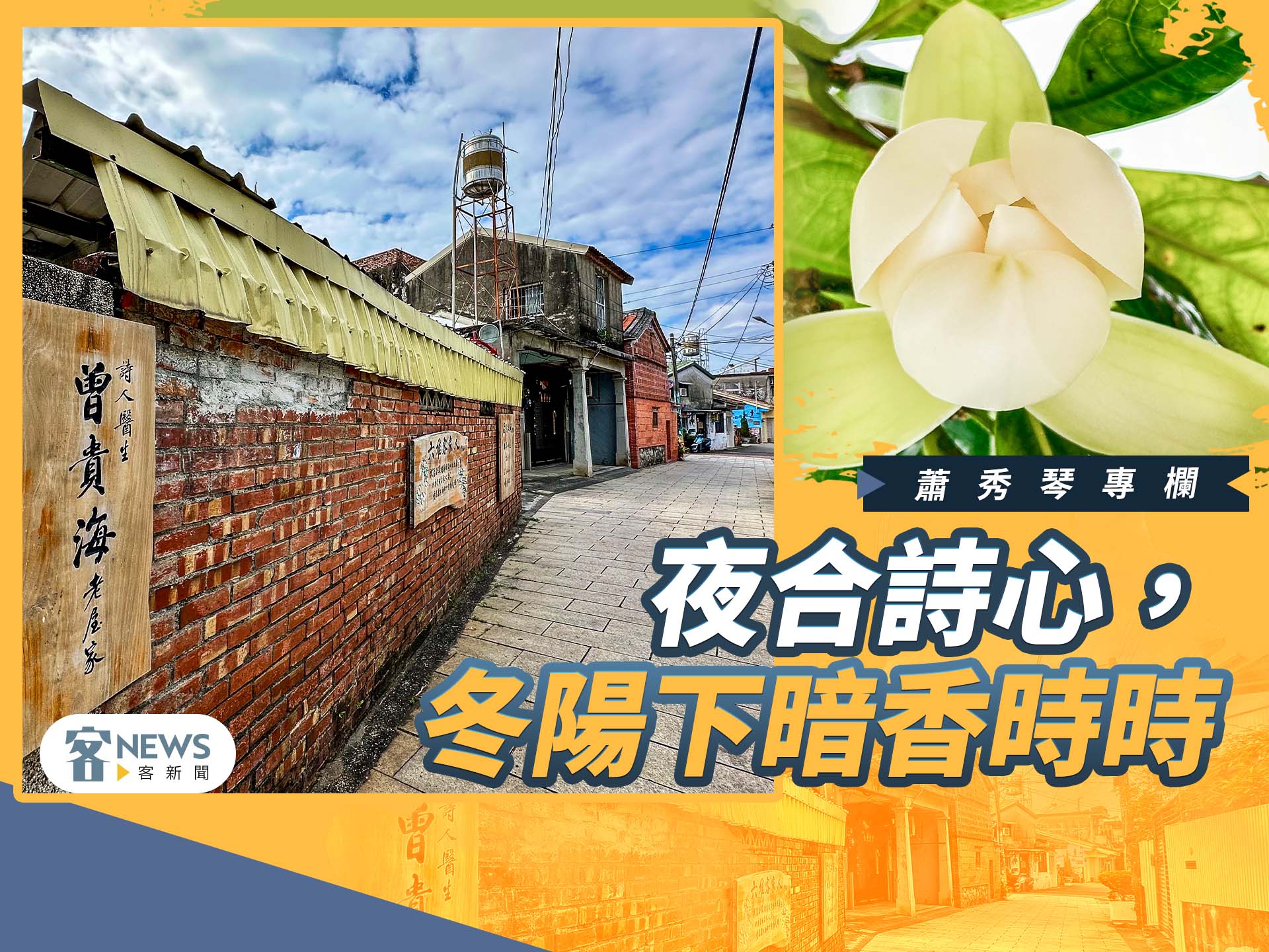 蕭秀琴專欄／夜合詩心，冬陽下暗香時時