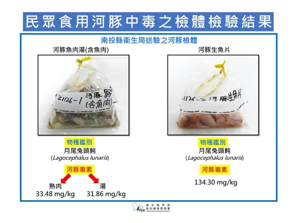 食藥署今日公布南投縣衛生局檢送，有關日前南投誤食河豚致死案的檢體，檢體魚類品種為月尾兔頭魨，其內臟、皮膚及肌肉皆含極強河豚毒素，僅吃2片生魚片可能就達到致死劑量。食藥署提供