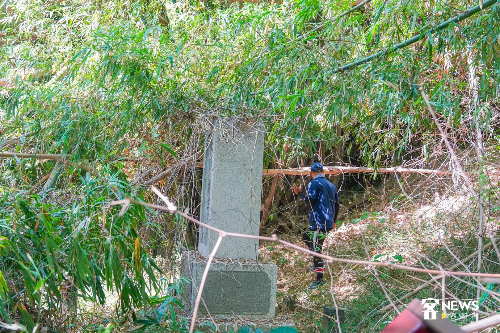 久違颱風帶來豐沛的雨水,使竹林生長比往年茂密,甚至包圍黑川龜吉校長紀念碑,這次祭祀前的打掃,是歷年最辛苦的一次。洪俊傑攝