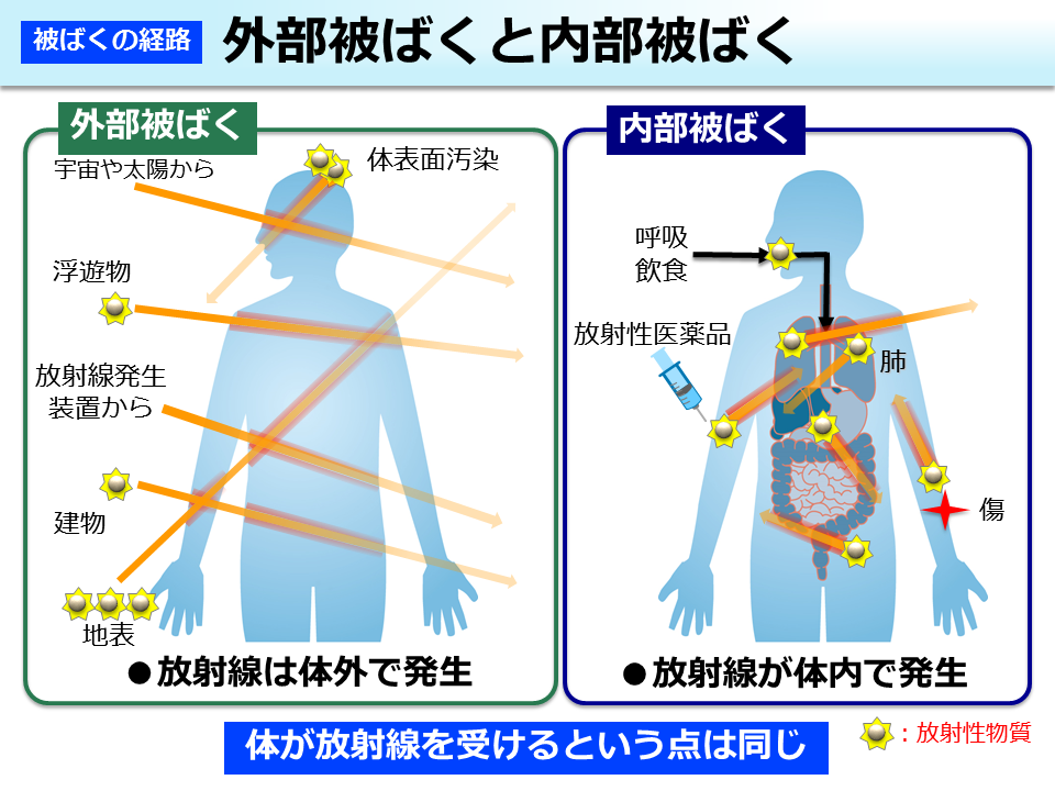 體內曝露與體外曝露的差別。翻攝自日本環境省官網
