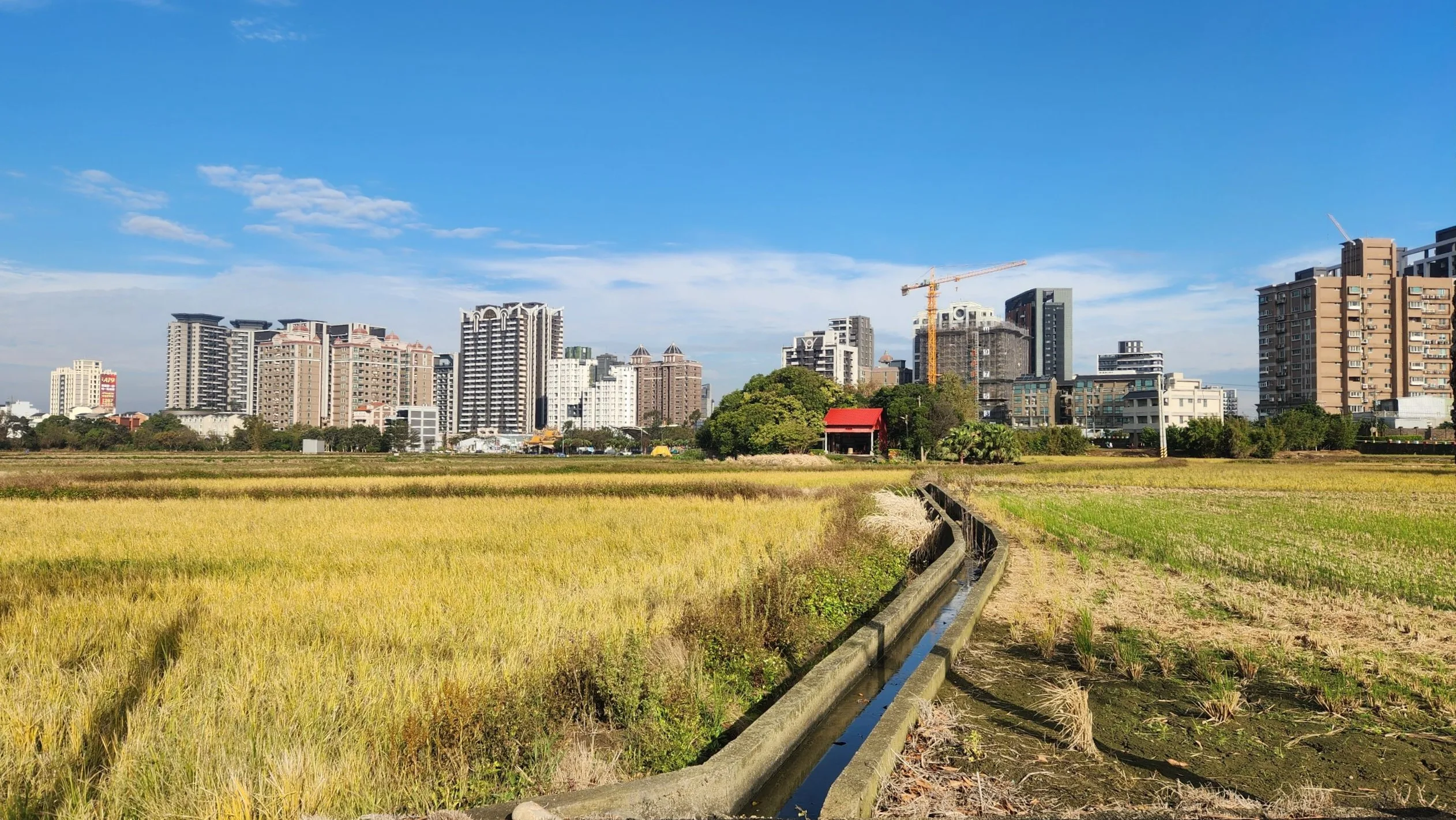 暫別冷氣團,陽光露臉天氣舒適宜人,民眾可把握時間,在農曆年前大掃除,圖為中壢青埔一處田地。洪俊傑攝