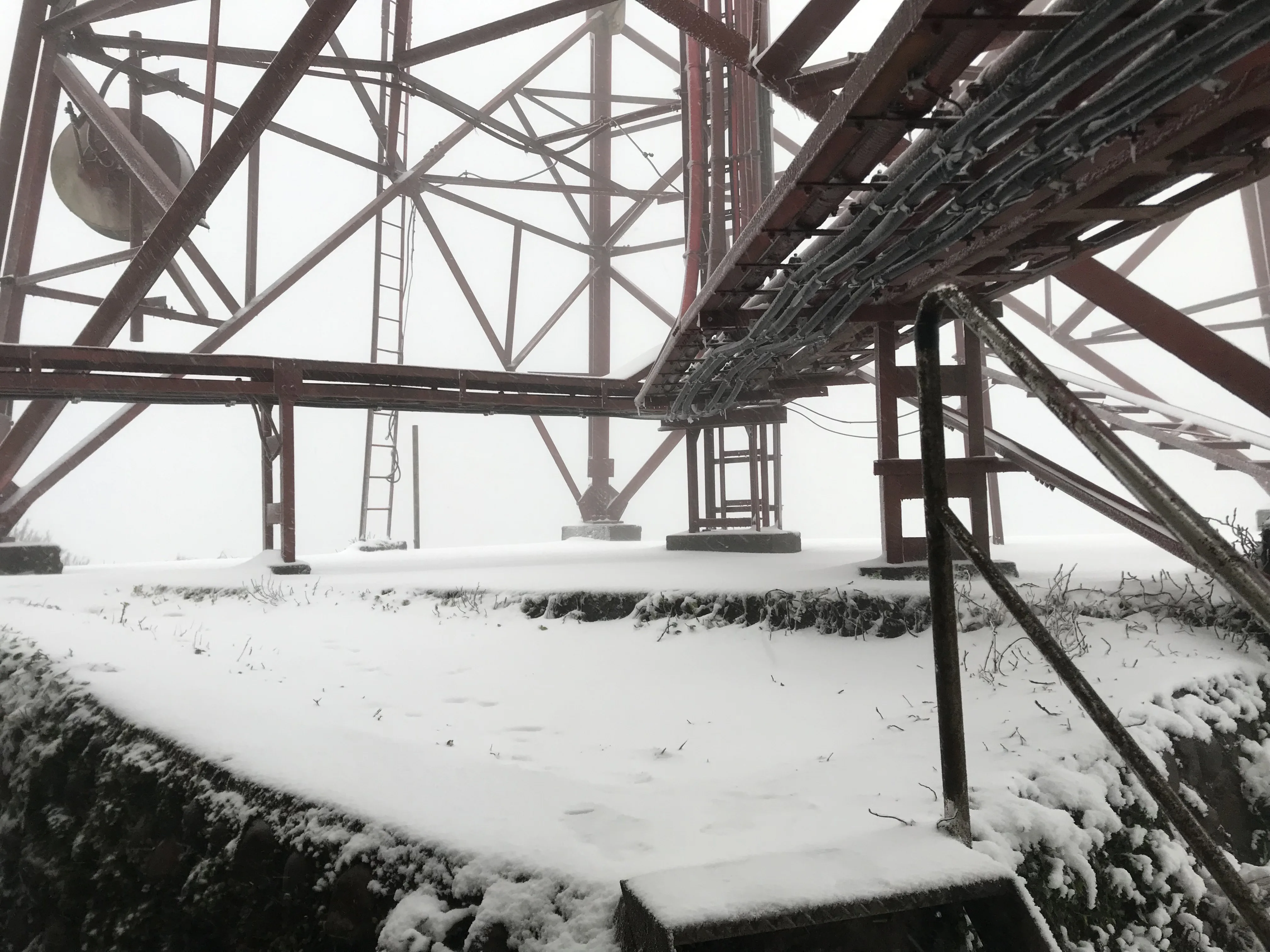 陽明山今天凌晨飄雪，山上一片雪白世界。讀者提供
