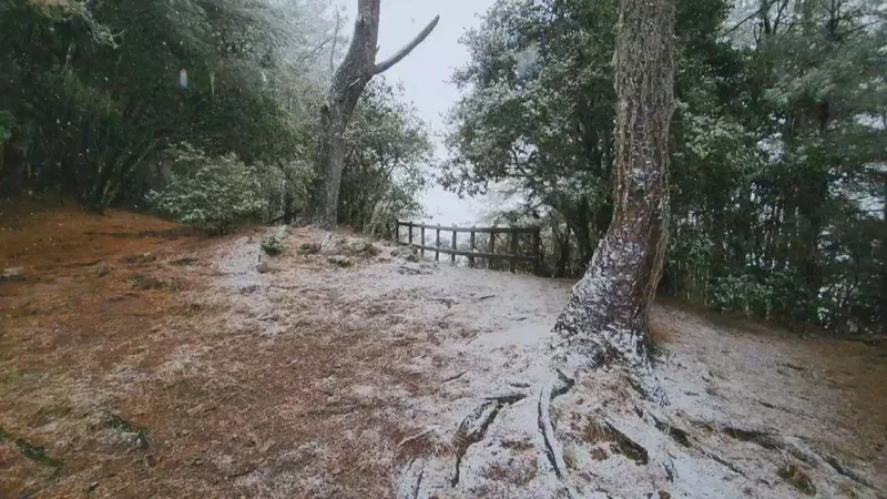 雪霸海拔逾2400公尺降雪　冬攀「三寶」不可少