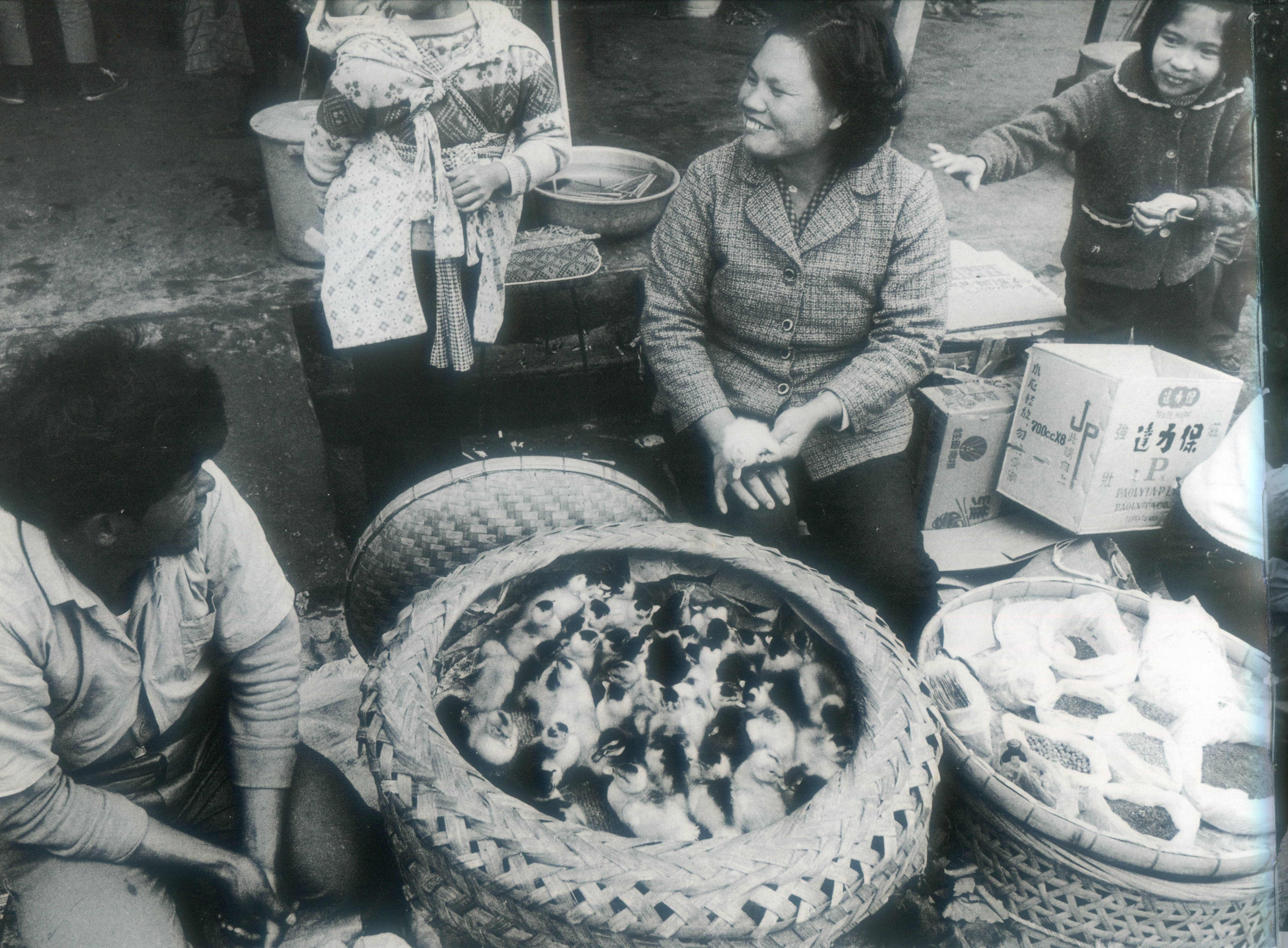 賴江質女婿邱德雲（1931—2014）是攝影家，留下許多珍貴黑白攝影作品，圖為「鴨子與種籽共下賣」，1965年攝於苗栗南苗市場。
